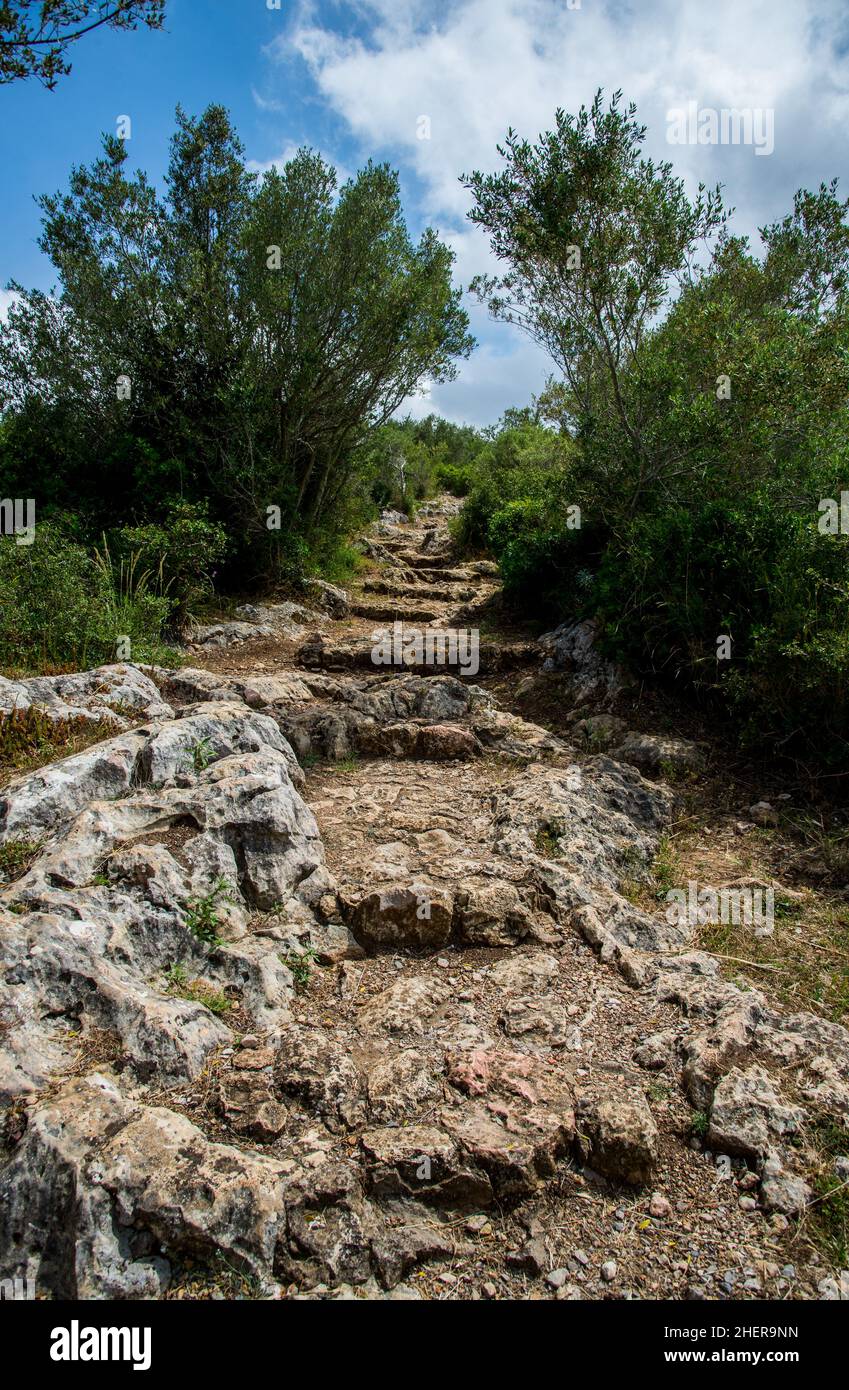 Fortificazione romana, una città medievale con chiese pre-romaniche e romaniche a Olerdola, Catalogna, Spagna Foto Stock