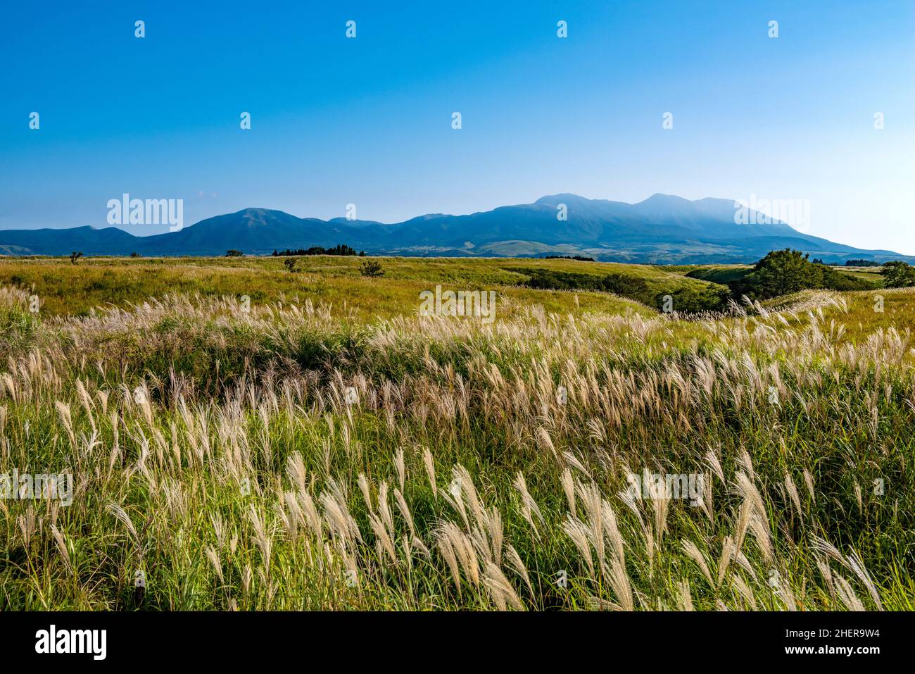 Vista della catena montuosa di Kokonoe dalla Yamanami Highway Foto Stock