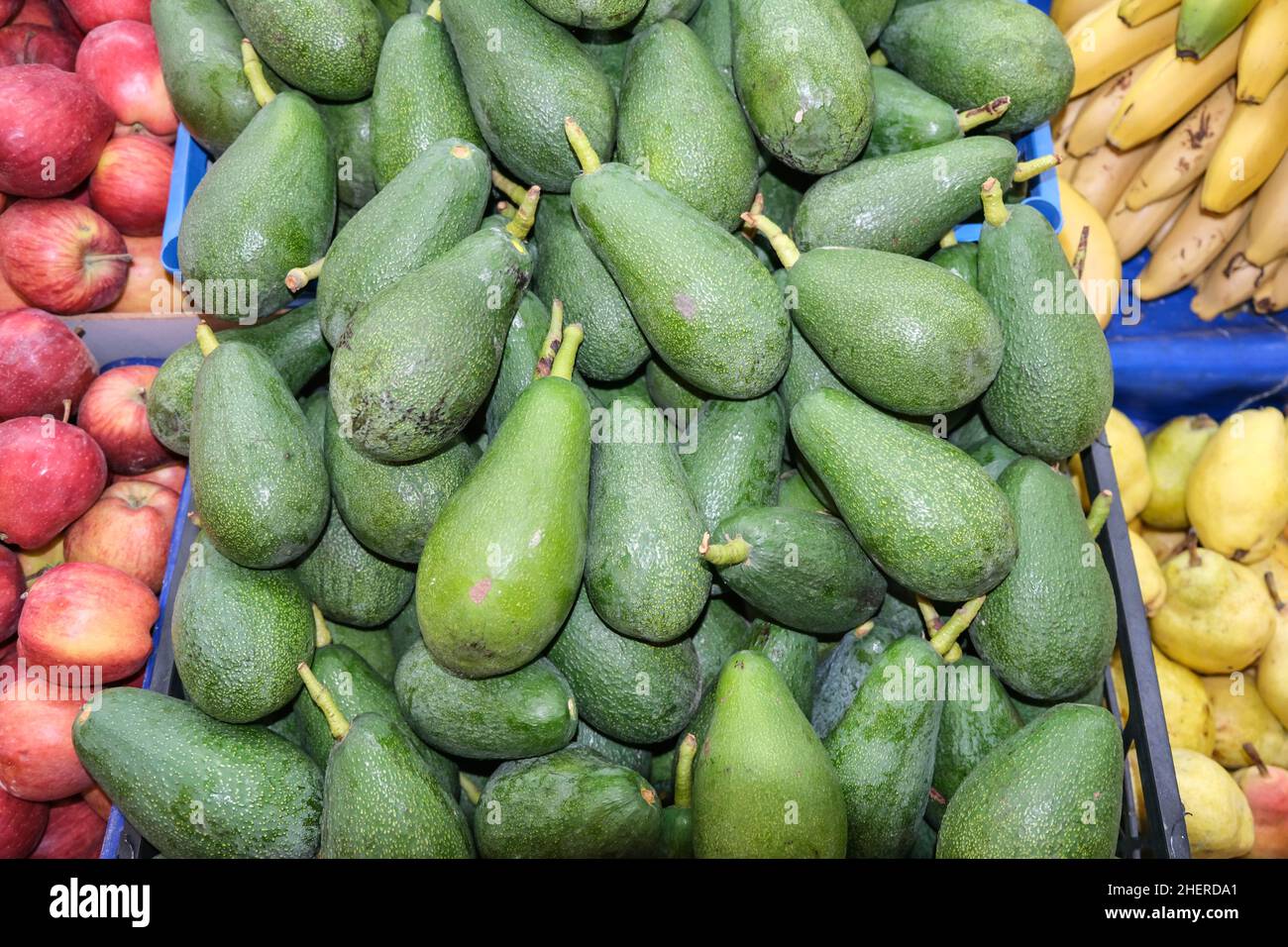 Frutta biologica verde avocado nel mercato. I frutti verdi di Avacado sono sparsi fuori nel deposito per la vendita. Sfondo Avacado. Foto Stock