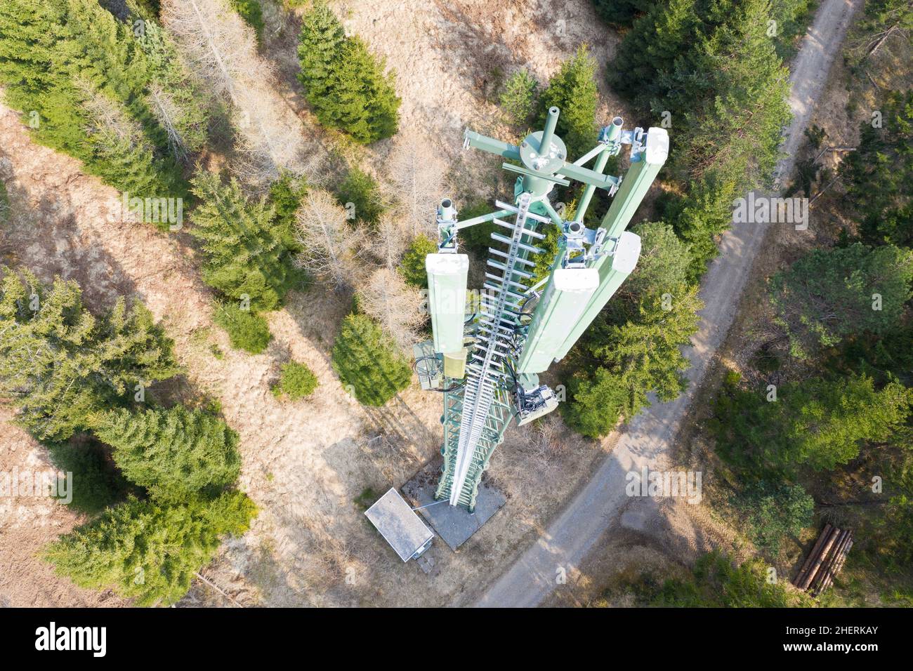 stazione radio base palo palo in foresta da sopra drone vista Foto Stock