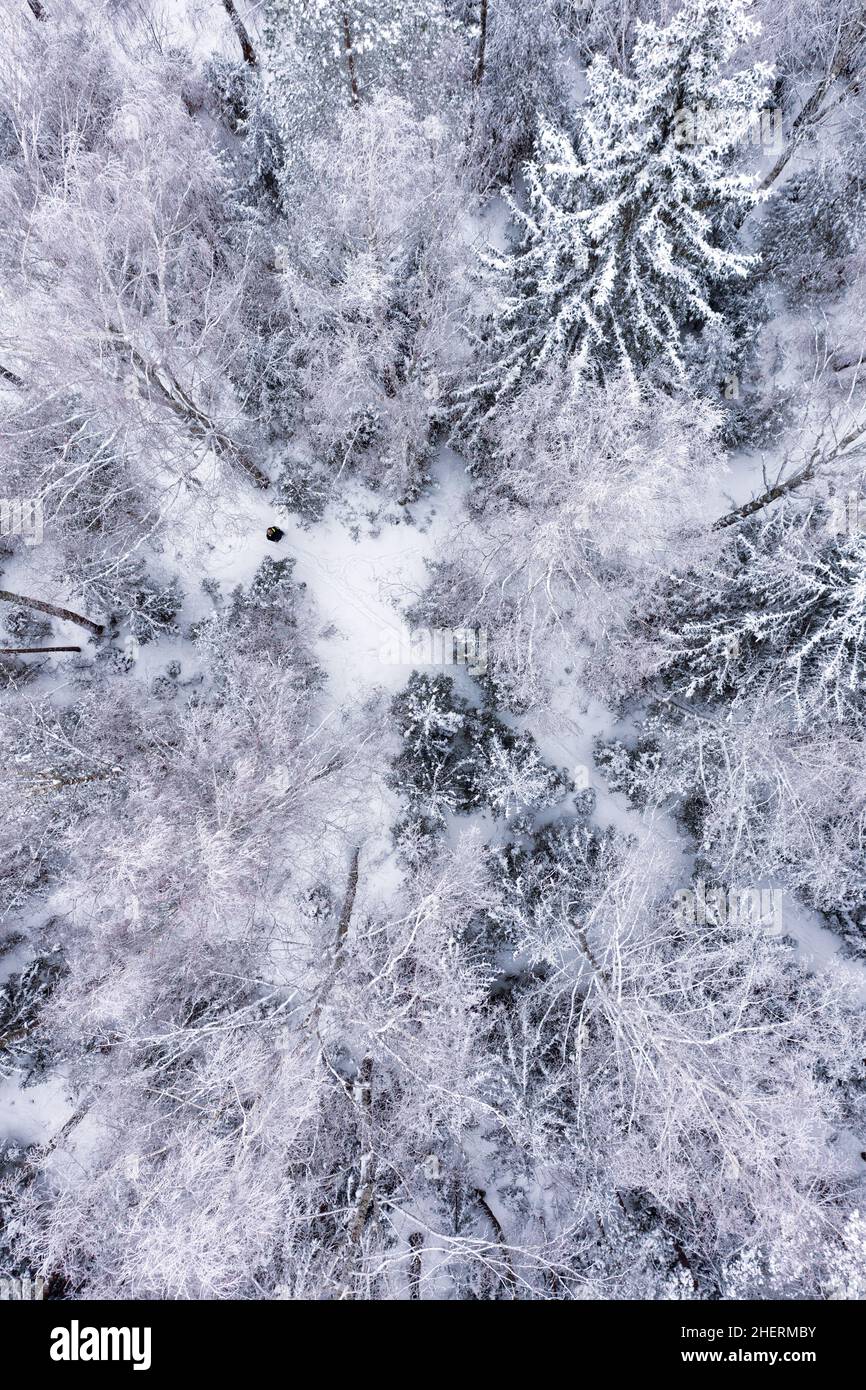 Antenna dell'uomo in una bella foresta coperta di neve d'inverno. Uomo che guarda in piedi in legno gelido in una fredda giornata invernale Foto Stock