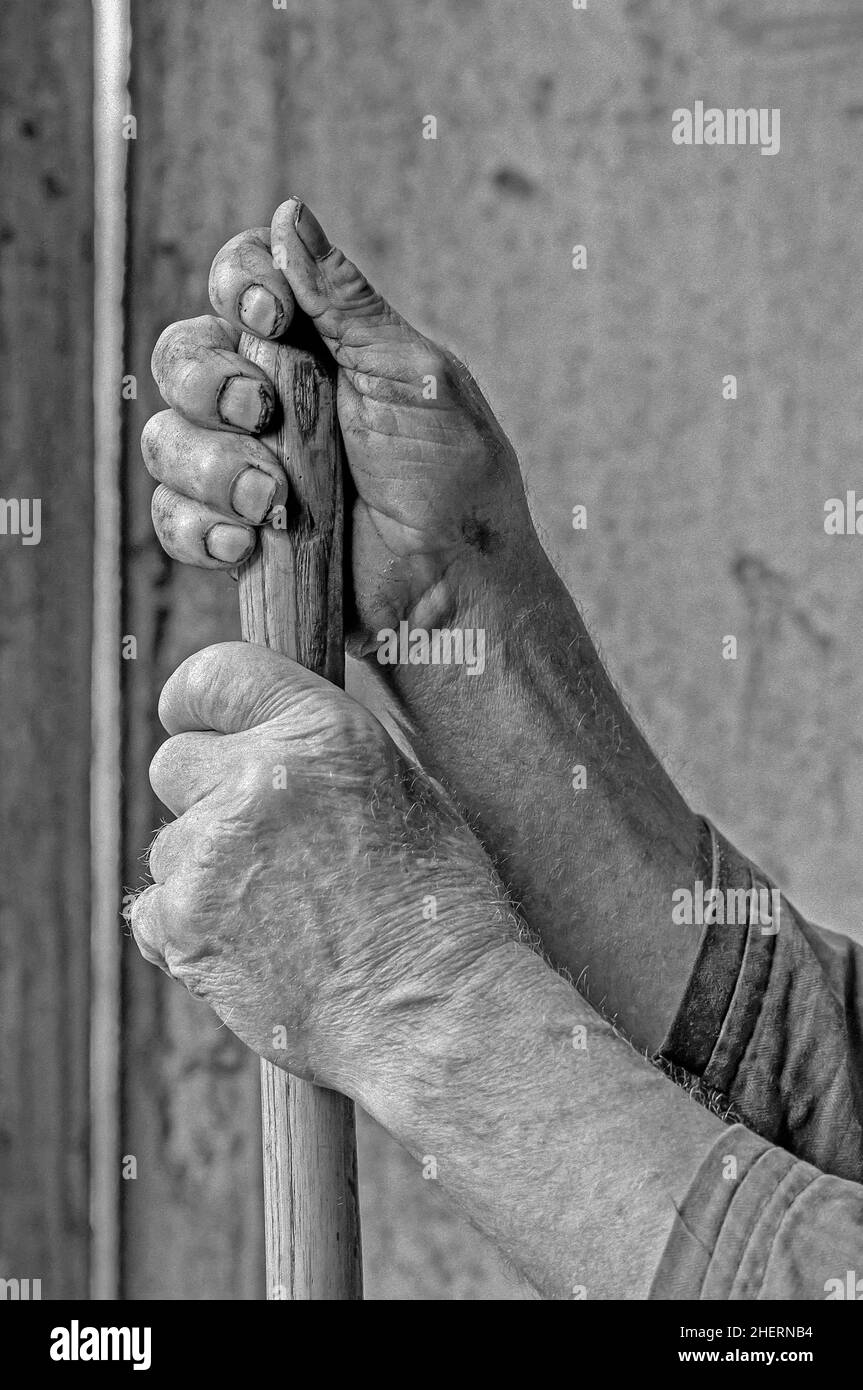 Mani di un agricoltore che detiene una maniglia di legno, Baviera, Germania Foto Stock