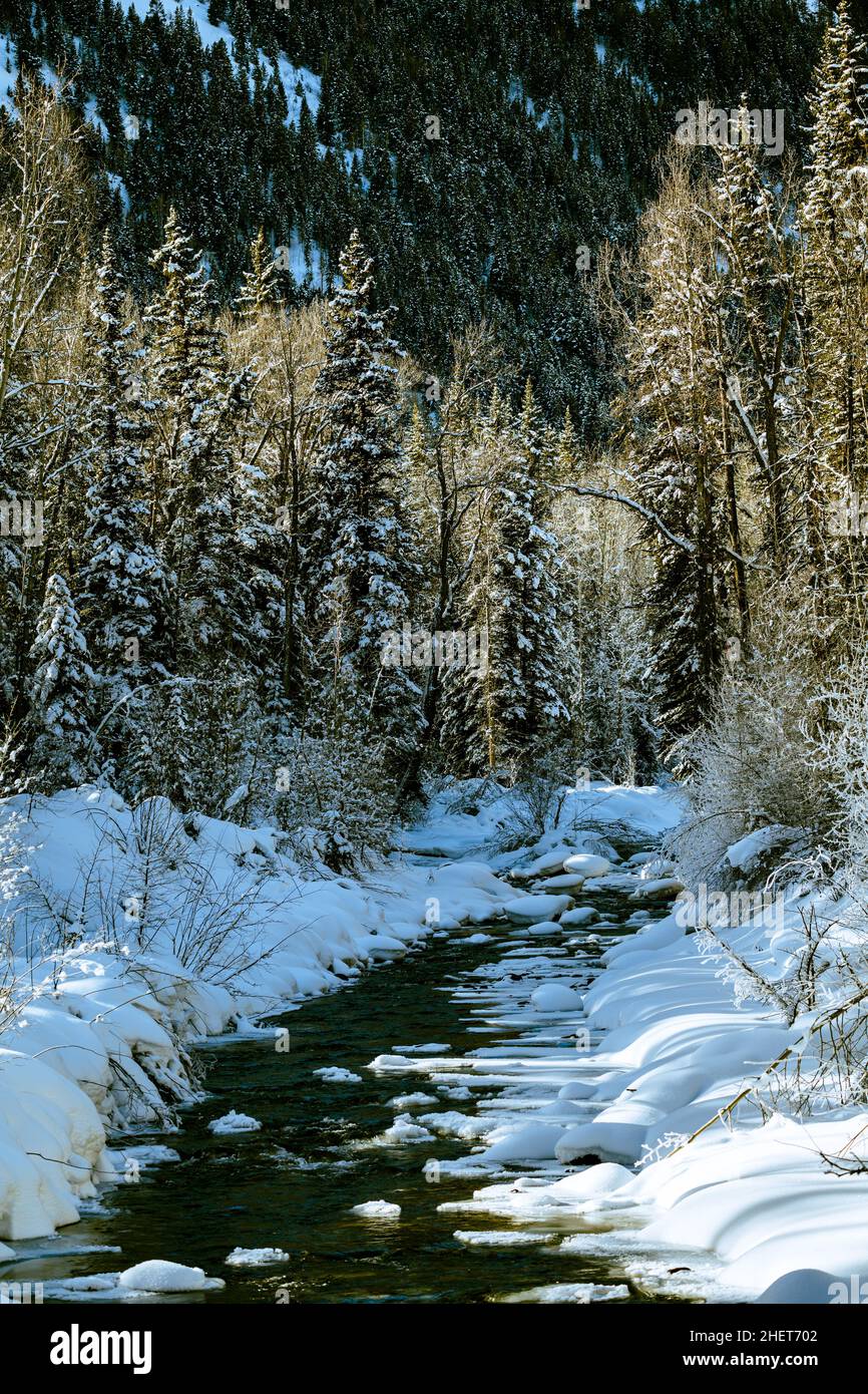 Inverno Scena di fiume Foto Stock