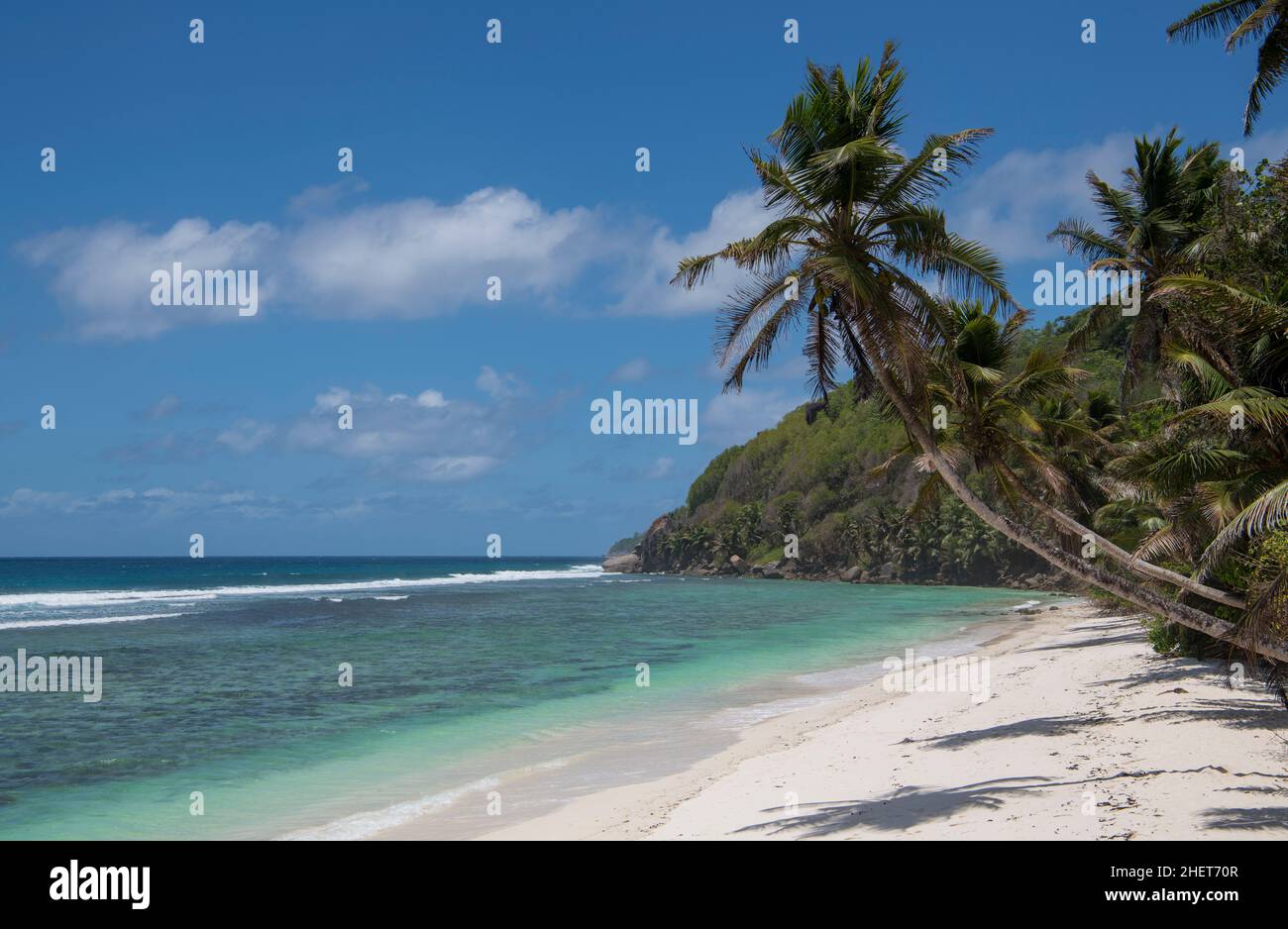 Palme e spiaggia Anse Takamaka South West Coast Mahe Island Seychelles Foto Stock