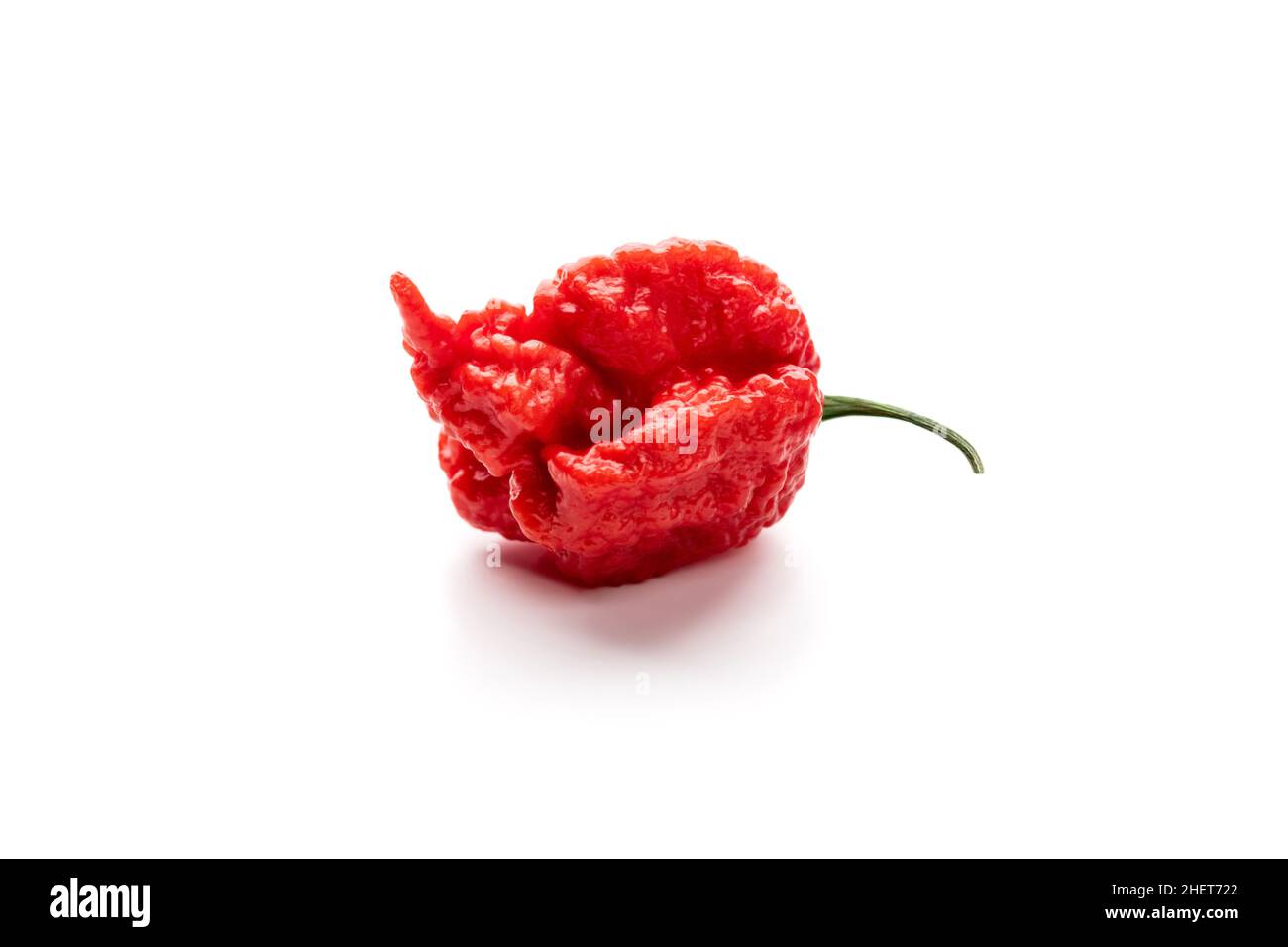 Carolina Reaper, il peperoncino rosso più caldo del mondo, isolato su sfondo bianco. Cultivar della pianta del chinense di Capsicum Foto Stock