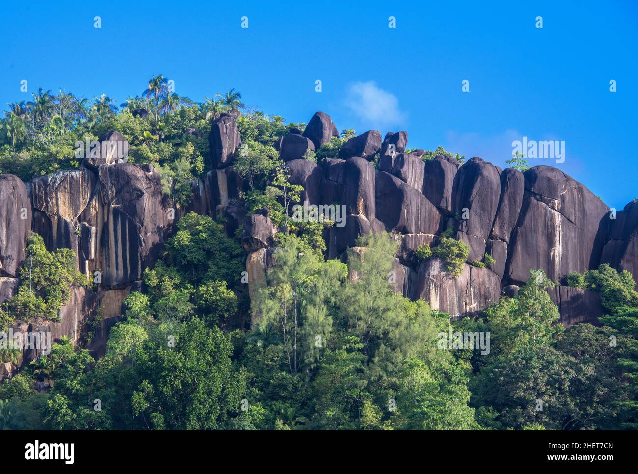 Scogliera di granito con fogliame tropicale West Coast Mahe Island Seychelles Foto Stock