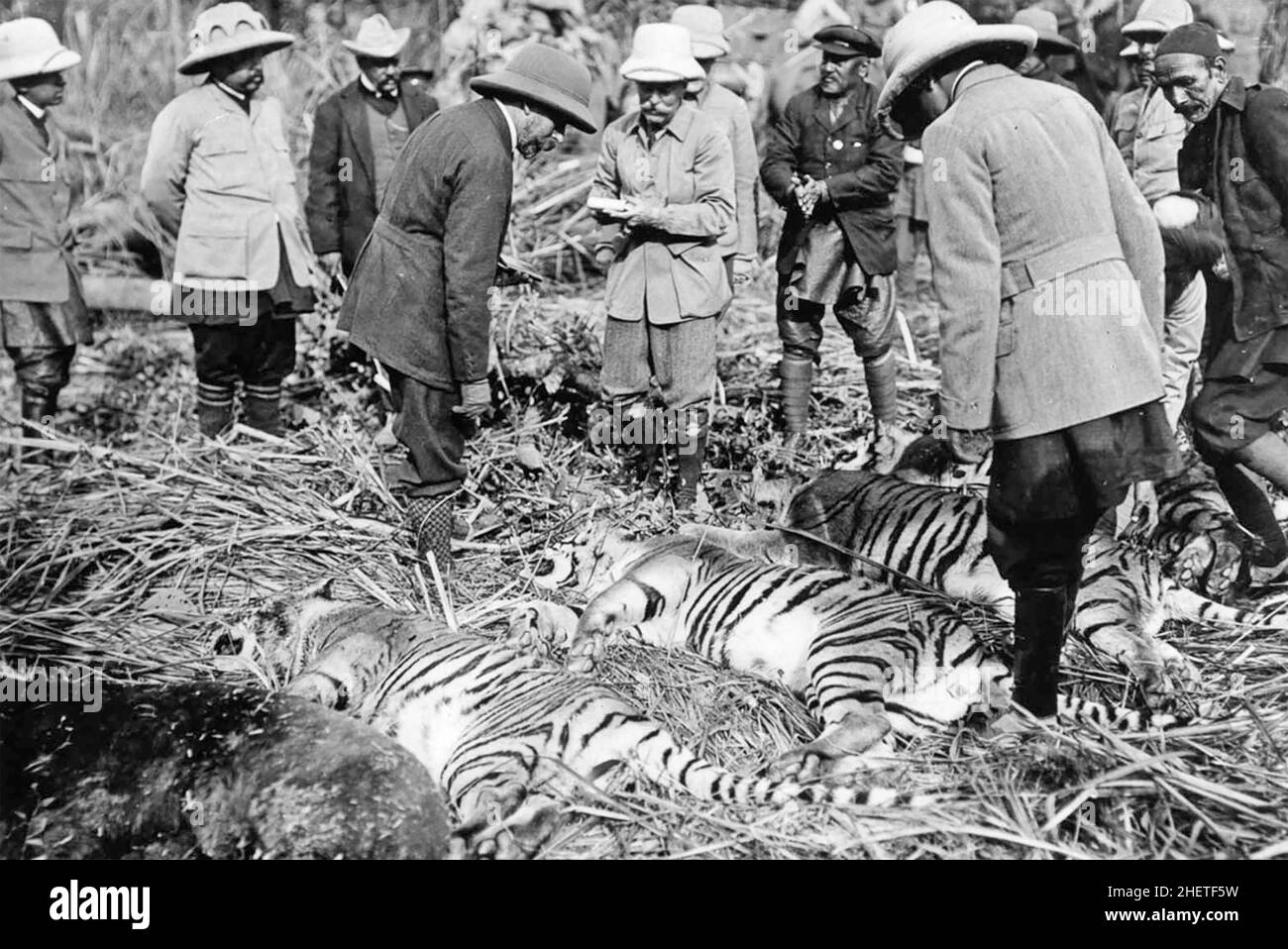 GEPRGE V (18651936) in una caccia alle tigri in Nepalo 1911 esamina la cattura del giorno Foto Stock