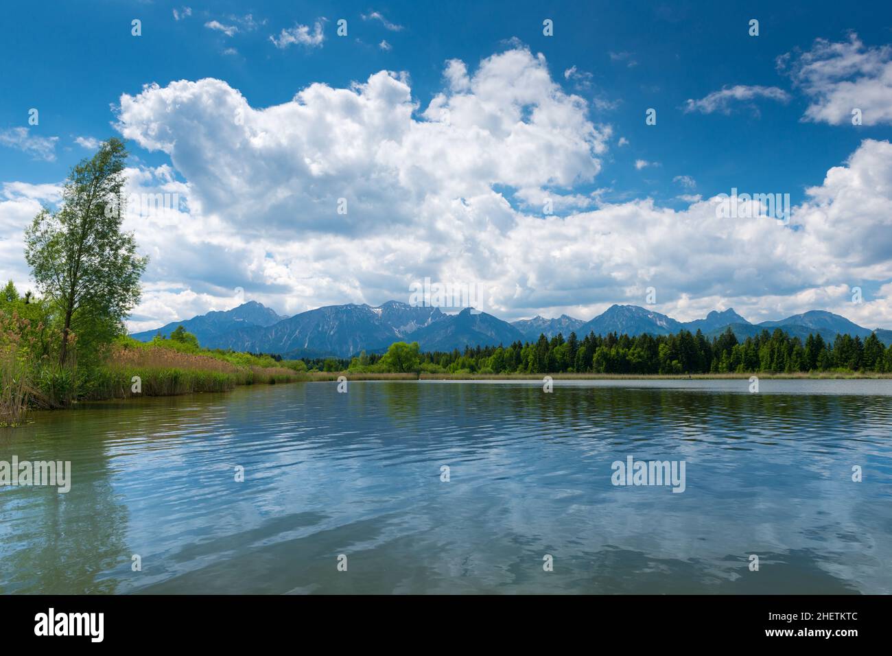 lago hopfen am see con canne e cielo azzurro soleggiato con nuvole Foto Stock