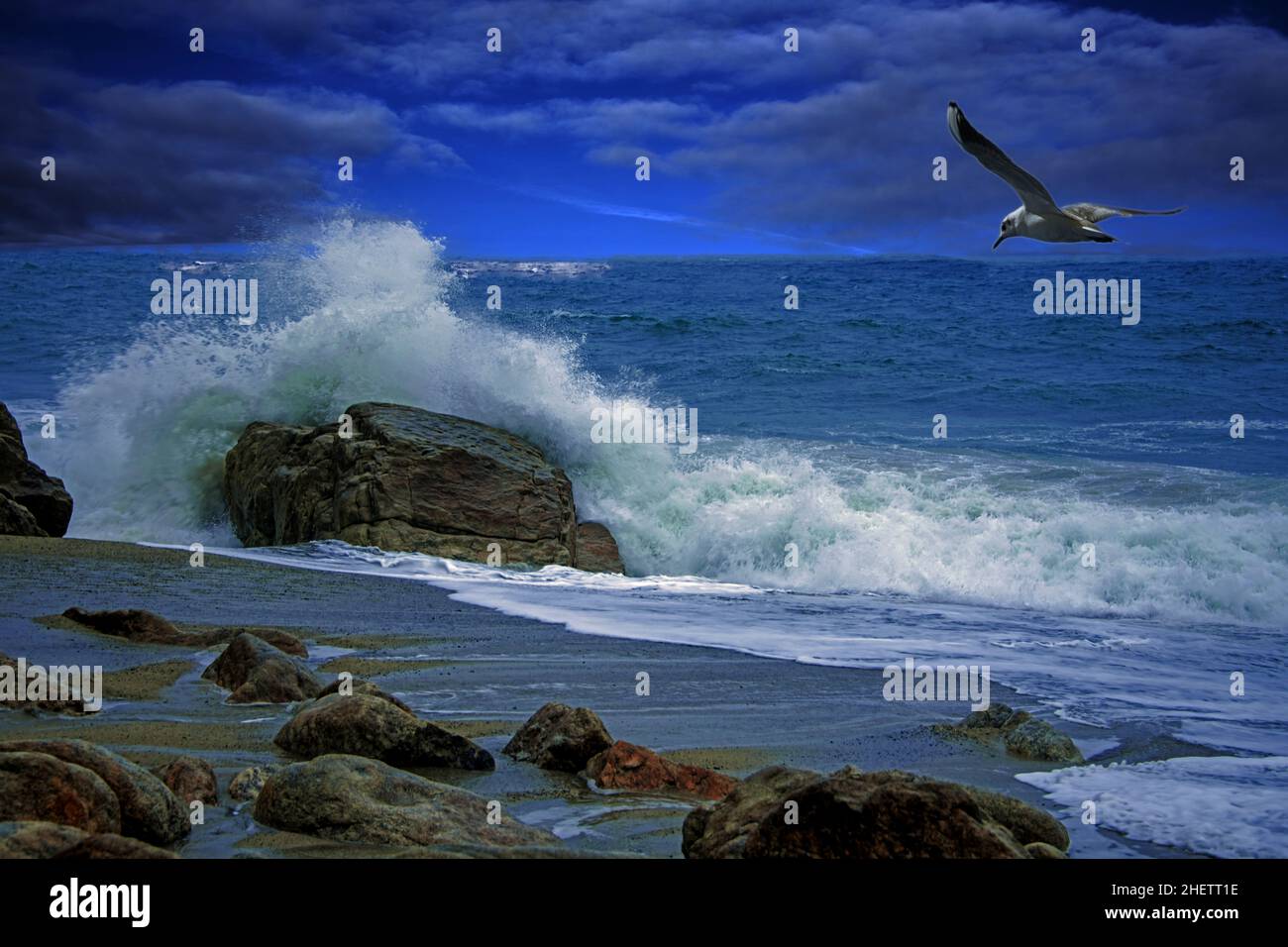 Seagull che vola in un paesaggio di mare blu sotto il cielo nuvoloso blu profondo Foto Stock