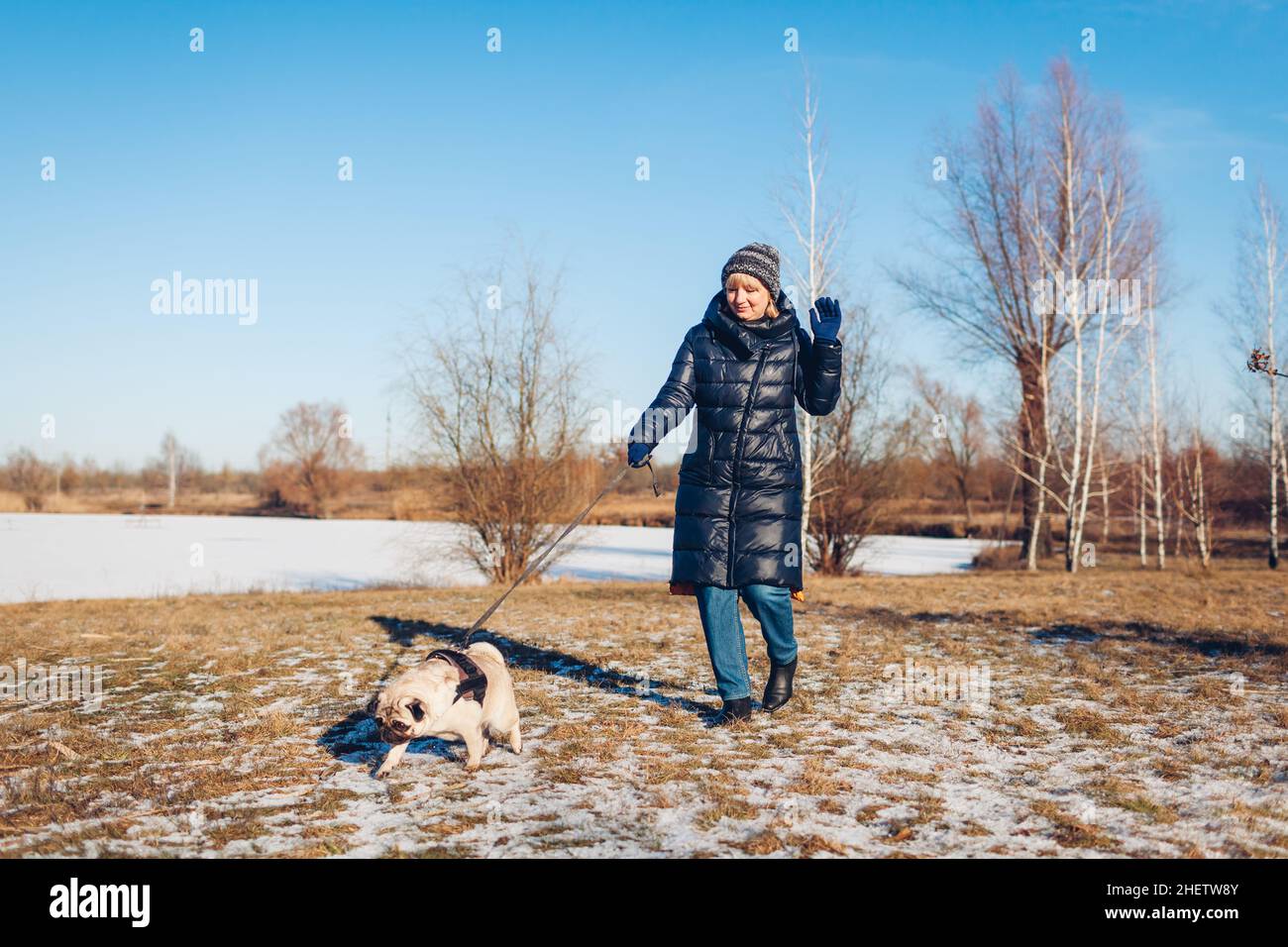 Donna che cammina cane pug nel parco nevoso invernale da lago ghiacciato tenendo guinzaglio. Imbracatura da indossare per cuccioli. Accessori per animali Foto Stock
