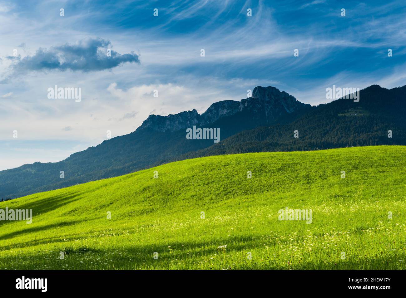 Prato verde e soleggiato ai piedi della catena montuosa, sfondo panoramico di bellezza naturale Foto Stock