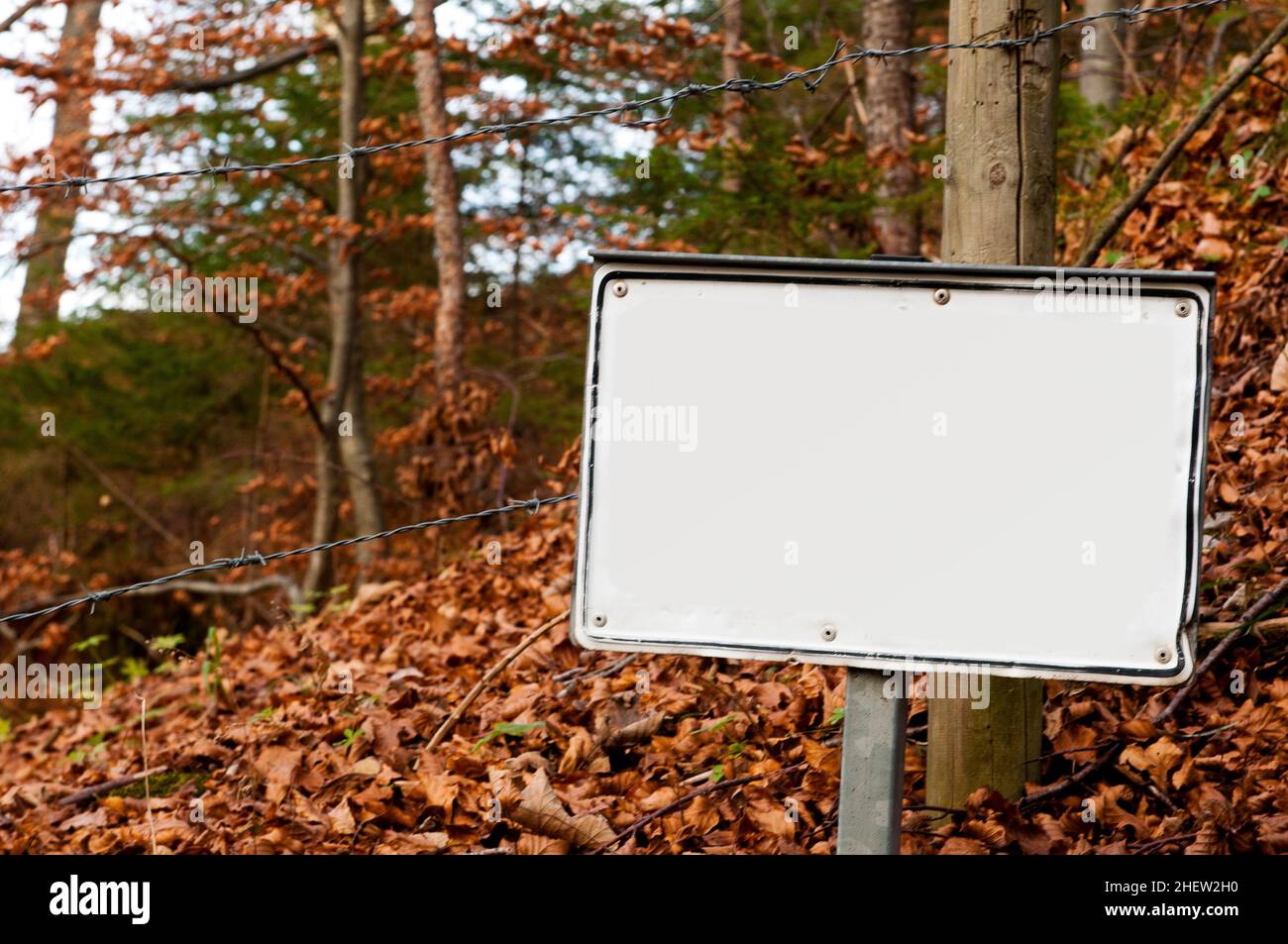 segno bianco di una foresta autunnale con foglie di colore marrone caduto per l'autoetichettatura Foto Stock