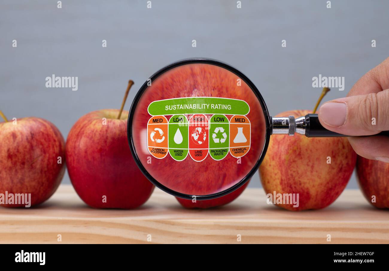 etichetta di valutazione sostenibile sulla mela con lente di ingrandimento, impatto ambientale dell'etichetta di sostenibilità del cliente alimentare sugli alimenti Foto Stock