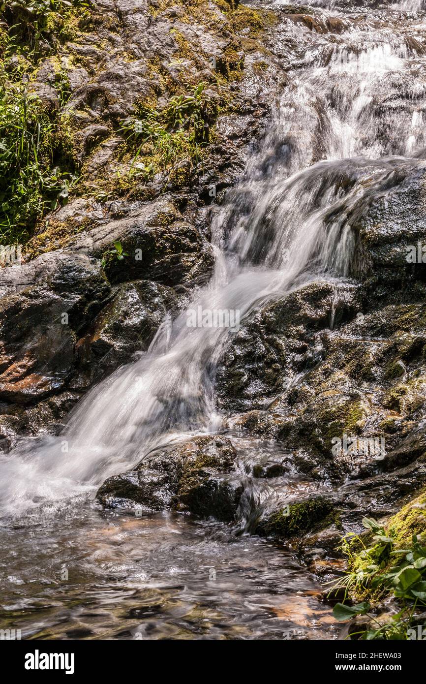 Bella cascata naturale nel Parco Nazionale Foto Stock
