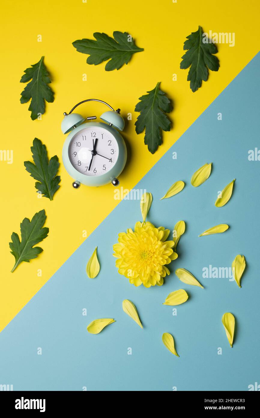 orologio e fiori decorati con foglie e petali su sfondo verticale piatto, diagonalmente diviso Foto Stock