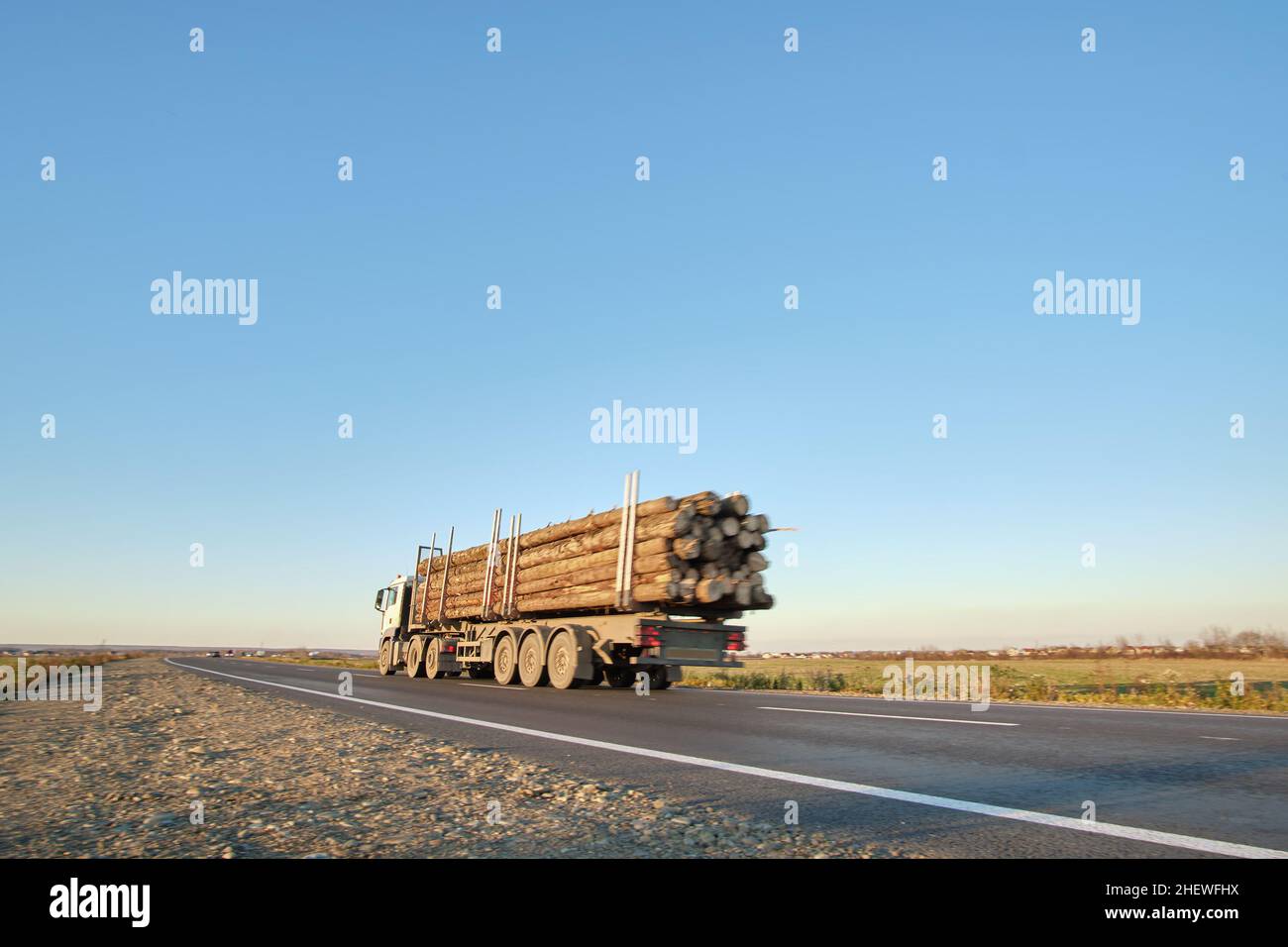 Il semirimorchio con rimorchio cargo che guida su strade pubbliche ha tagliato gli alberi di sera. Concetto di logistica e consegna legname. Foto Stock