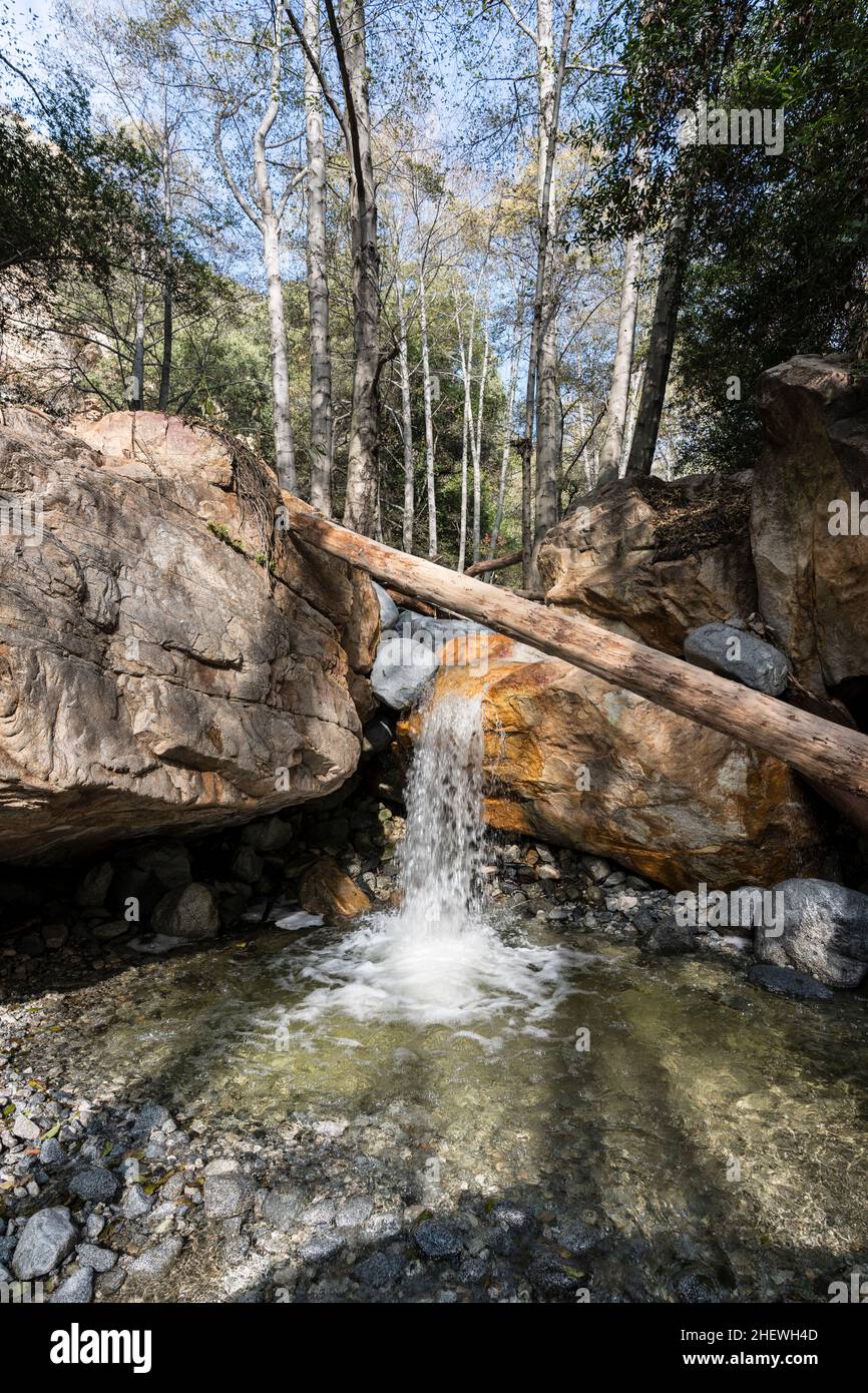 Idlehour Creek e Upper Eaton Canyon nelle Montagne di San Gabriel vicino a Los Angeles, nella California meridionale. Foto Stock
