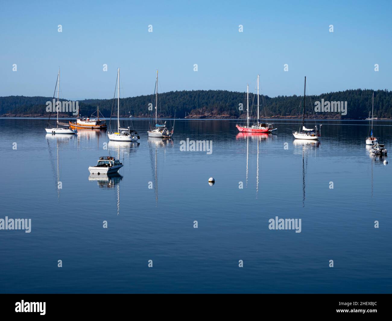 WA21087-00...WASHINGTON -Barche ormeggiate nelle calme acque di West Sound a Orcas Island. Foto Stock