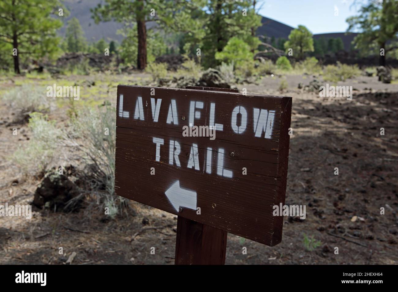 Lava Flow Trail insegna nel Sunset Crater Volcano National Monument, Arizona, USA Foto Stock