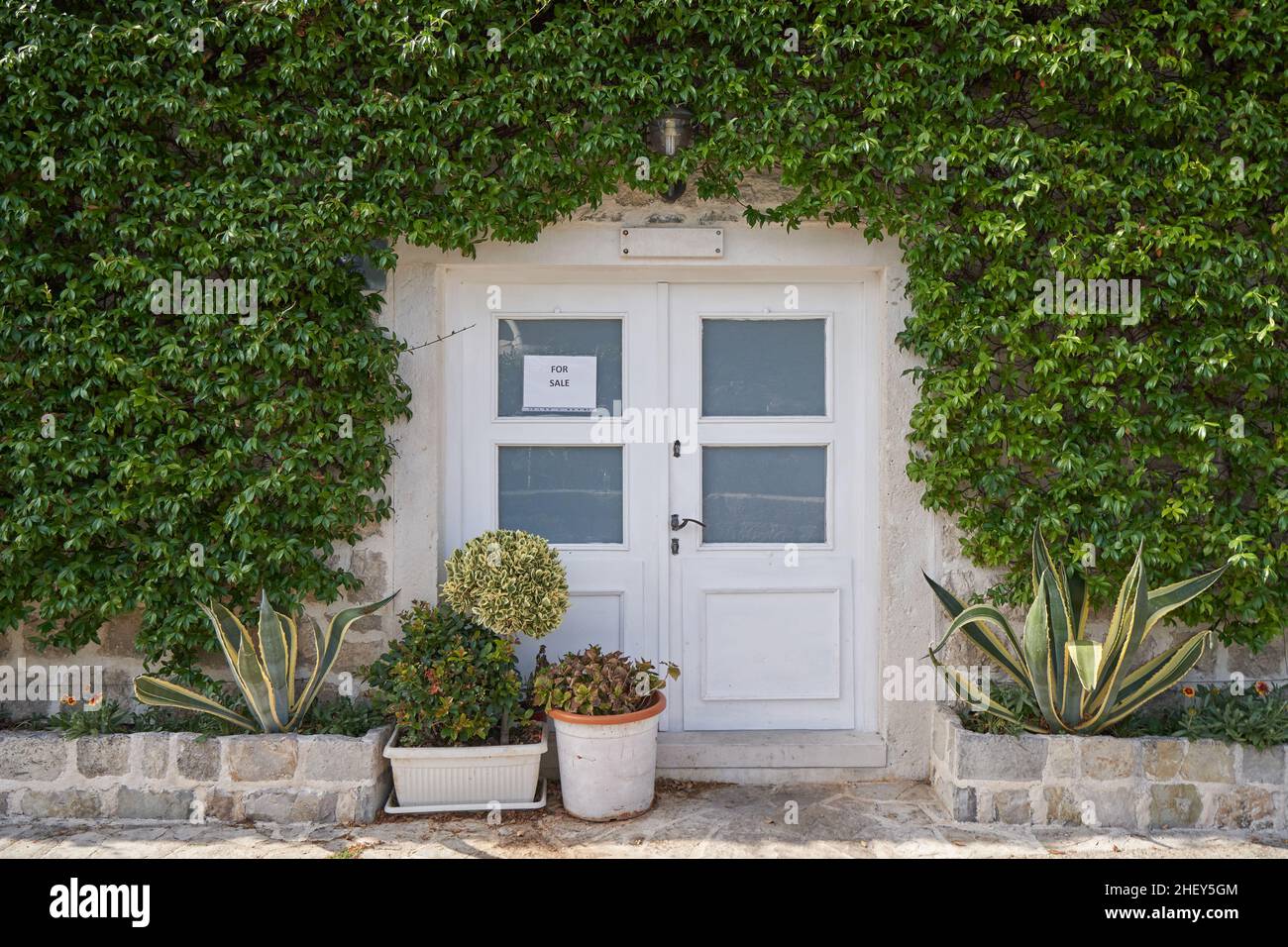 Vecchia casa in vendita con piante rampicanti a parete. Foto Stock