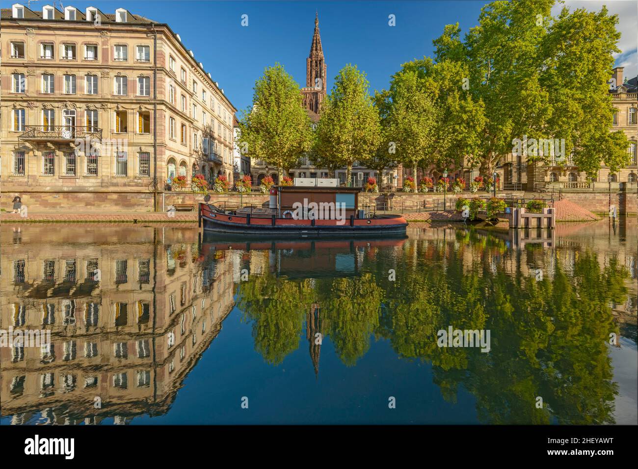 FRANCIA, BAS-RHIN (67), STRASBURGO, PIAZZA DEL MERCATO DEL PESCE, MOLO BATORAMA E CATTEDRALE DI STRASBURGO Foto Stock