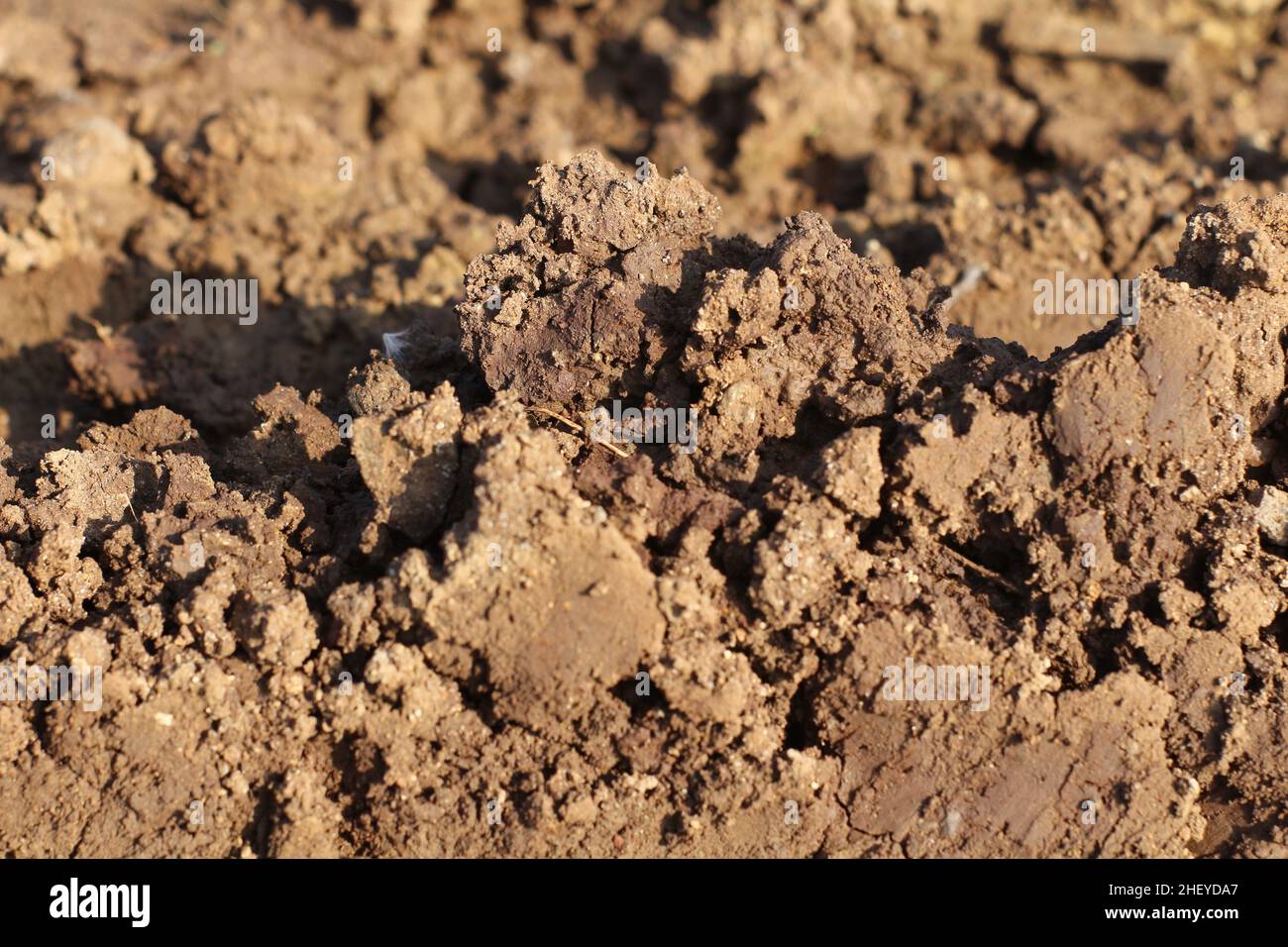 Le texture del terreno asciutto e umido sono adatte per sfondi ed effetti video. Foto Stock