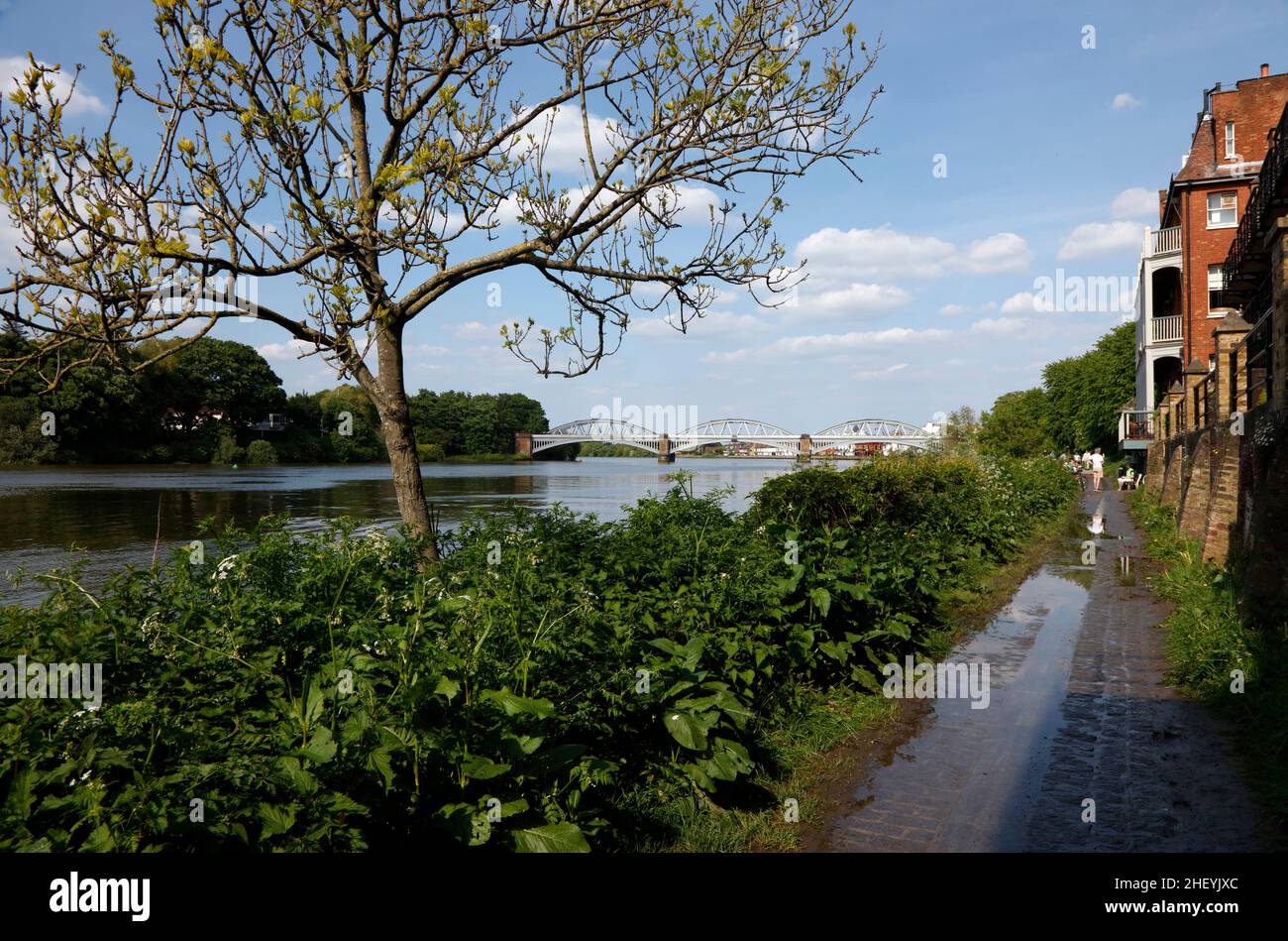 Thames Path of the River Thames Vicino al pub White Hart e Barnes Bridge, Barnes, Londra, Regno Unito Foto Stock