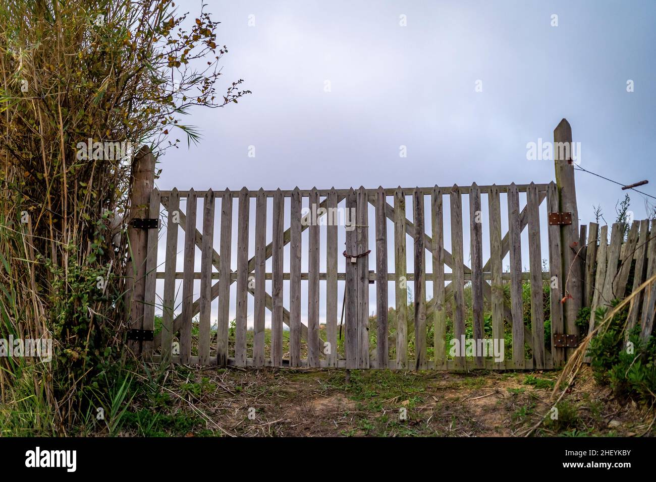 Cancello di legno con un lucchetto che conduce al campo, Portogallo Foto Stock