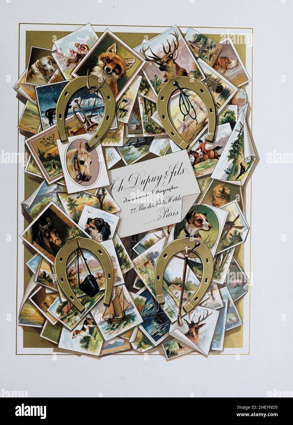 19th secolo Arte grafica di animali e fauna catalogo incisioni e stampe. Francia 1881 Foto Stock