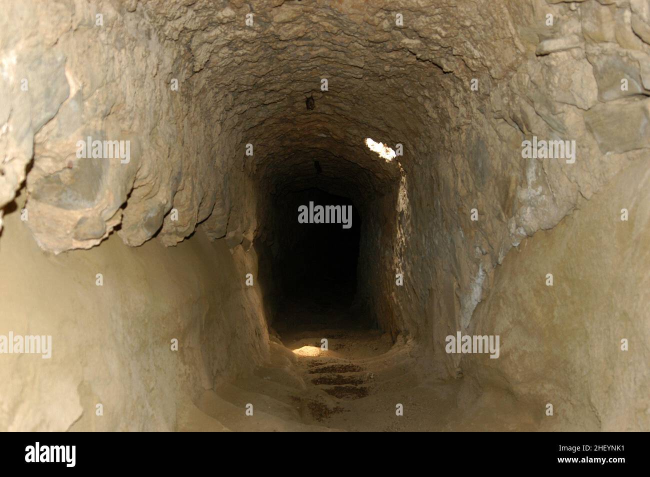 Pipistrelli sospesi in galleria sotterranea. Turchia orientale, Kurdistan settentrionale Foto Stock