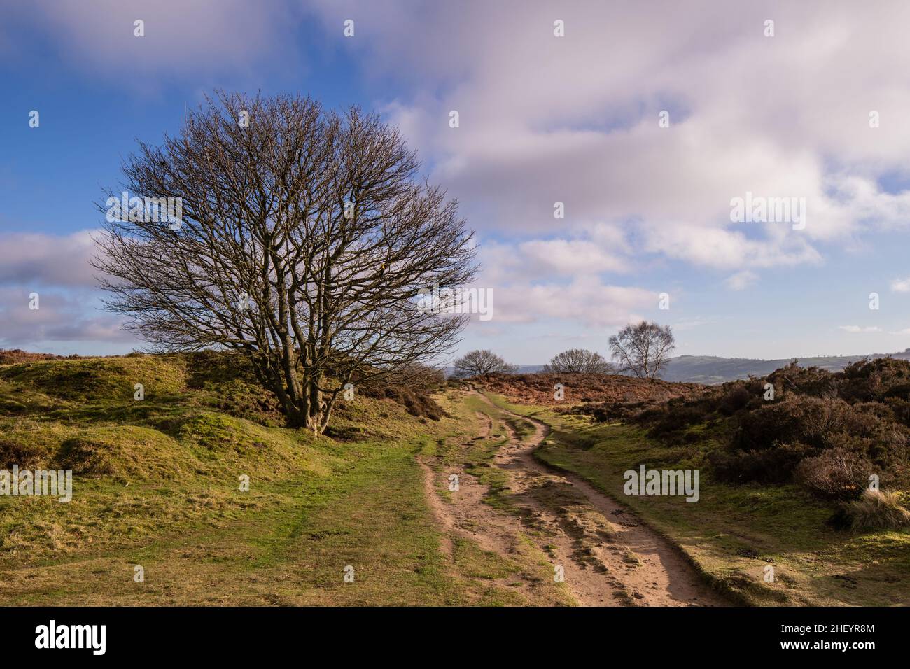 Stanton Moor, percorso pedonale del Derbyshire Foto Stock