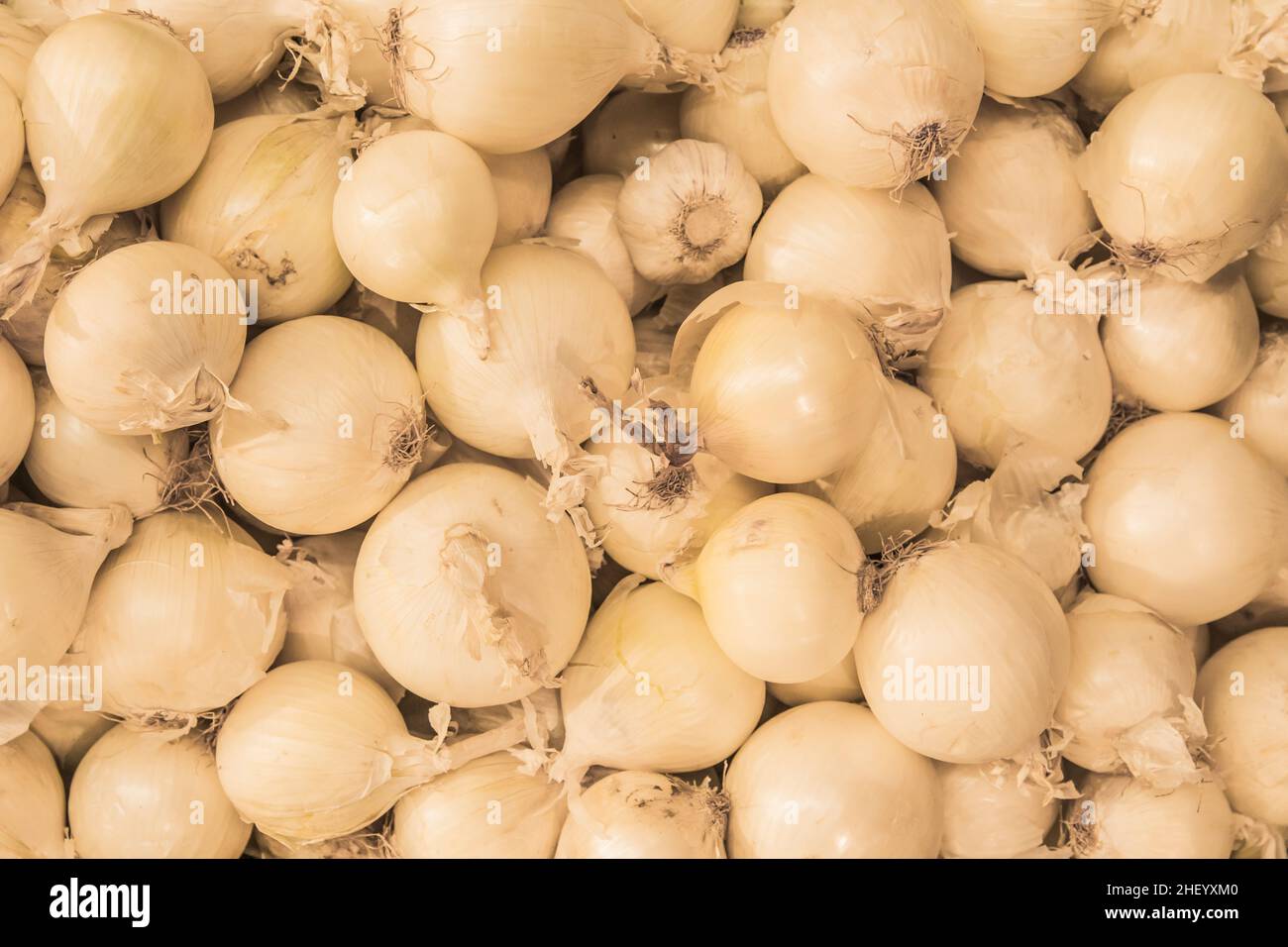 Cipolla bianca vegetale materia prima cibo materia organica fondo. Foto Stock