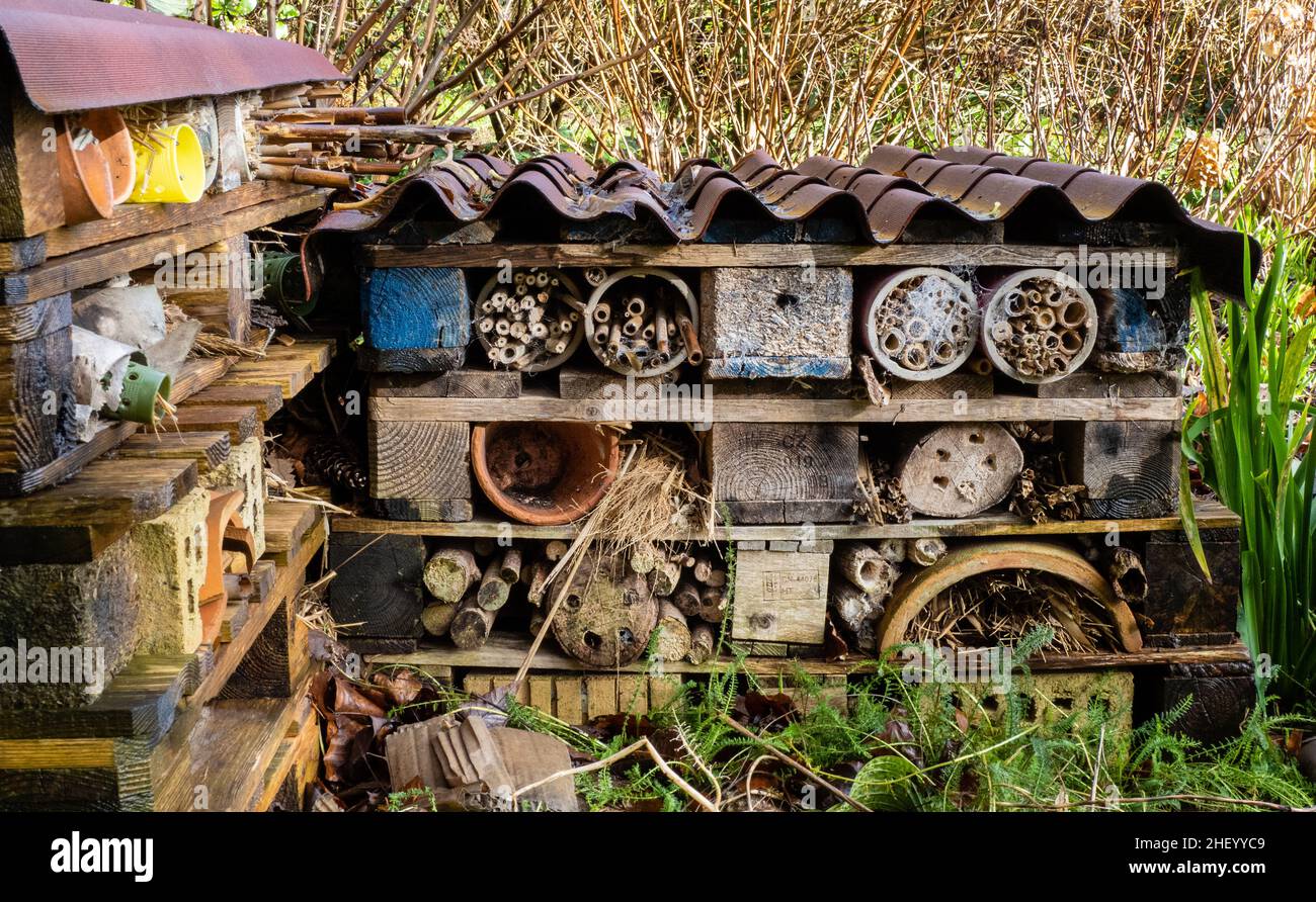Bee hotel a più piani e rifugio per animali progettato per fornire una varietà di opzioni di nidificazione per piccoli insetti e altre creature in un giardino inglese Foto Stock