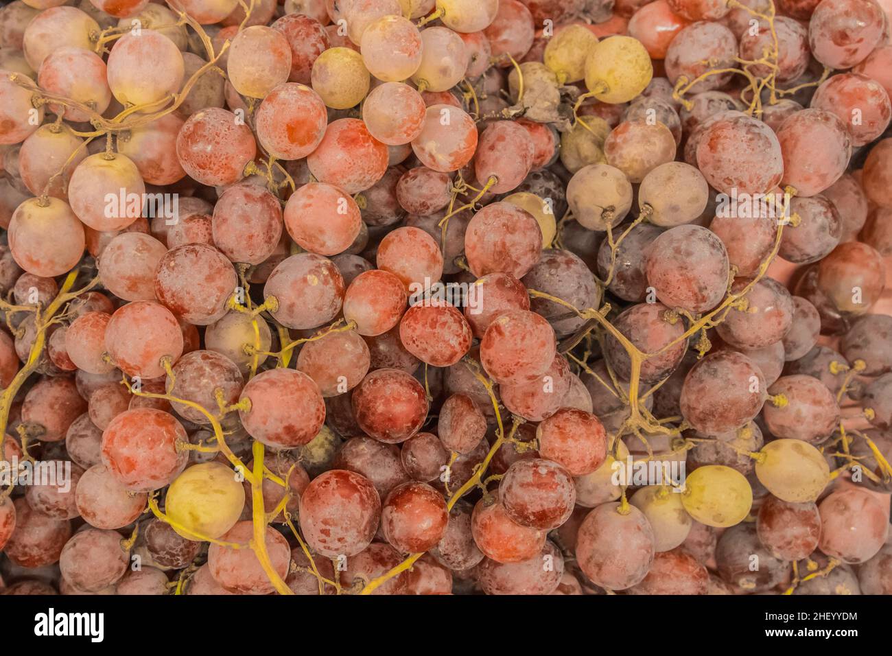 Uva rossa agricoltura e raccolto naturale vino maturo sfondo. Foto Stock