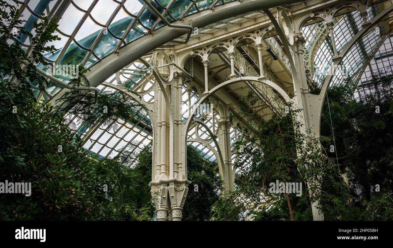 Innenaufnahme eines tropischen Gewächshauses im Jugendstil aus Stahl und Glas in Wien Foto Stock