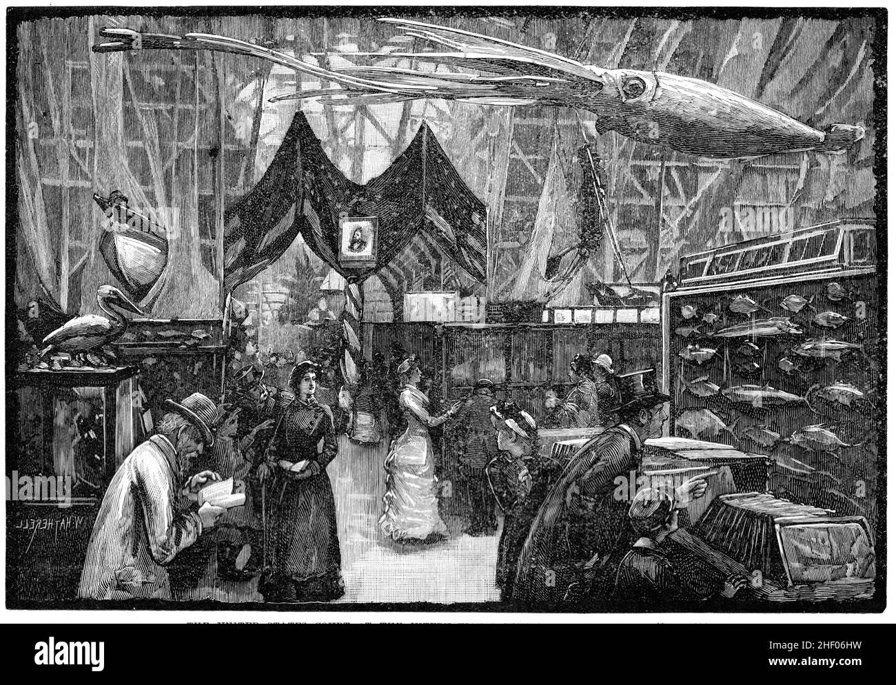 La Corte degli Stati Uniti all'International Fisheries Exhibition, maggio 1883 Foto Stock