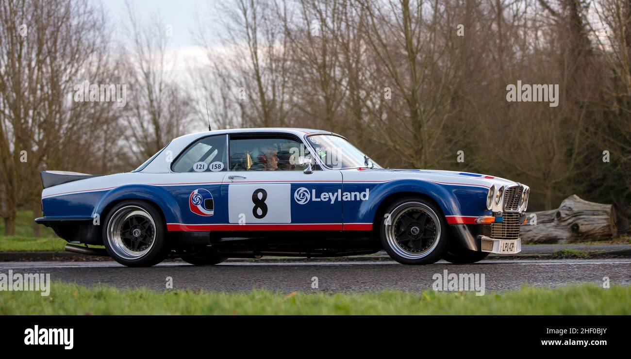 1975 Jaguar in livrea da corsa Leyland Foto Stock