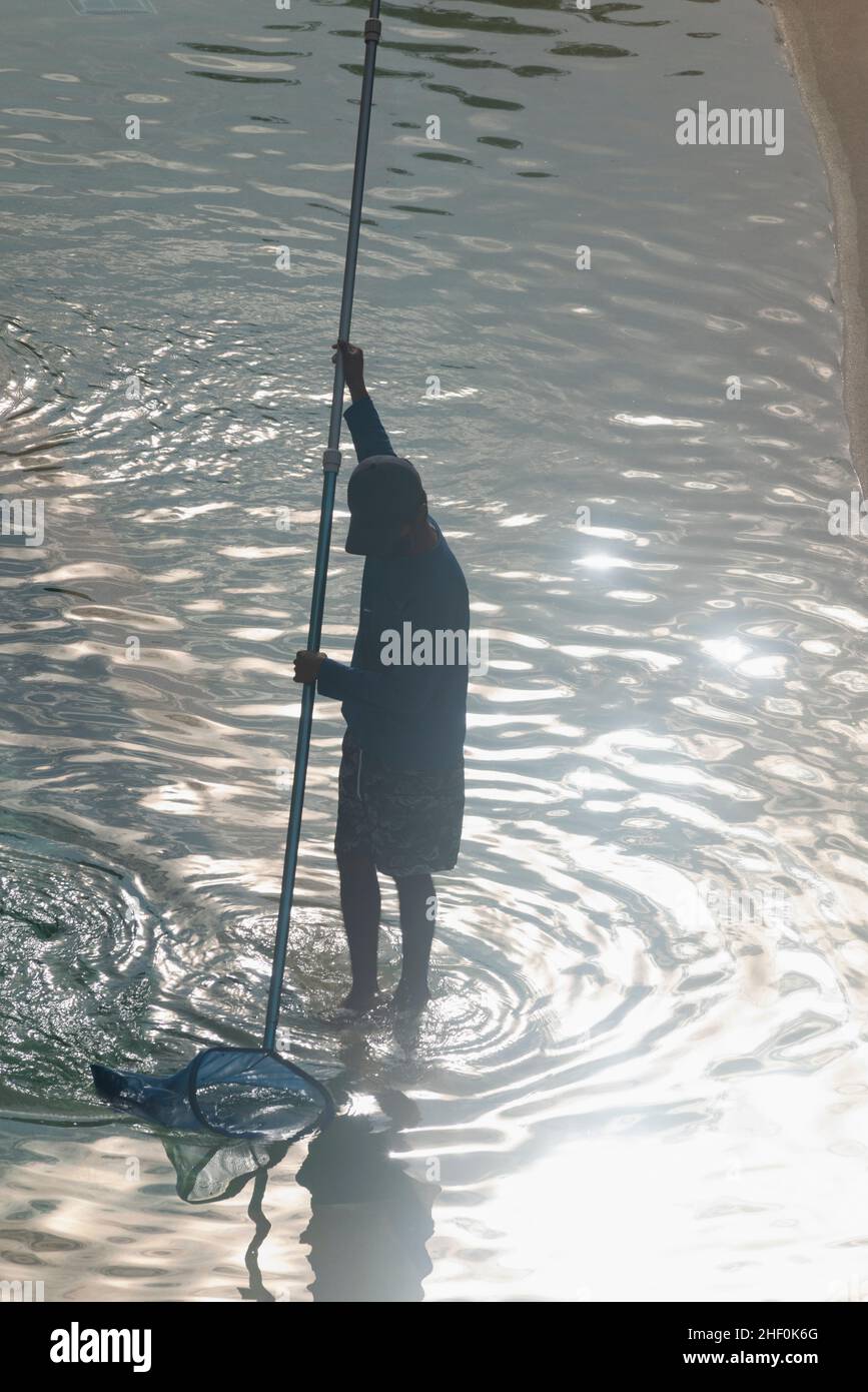 Silhouette di un ragazzo messicano che dà manutenzione ad una piscina pubblica in una mattinata estiva Foto Stock