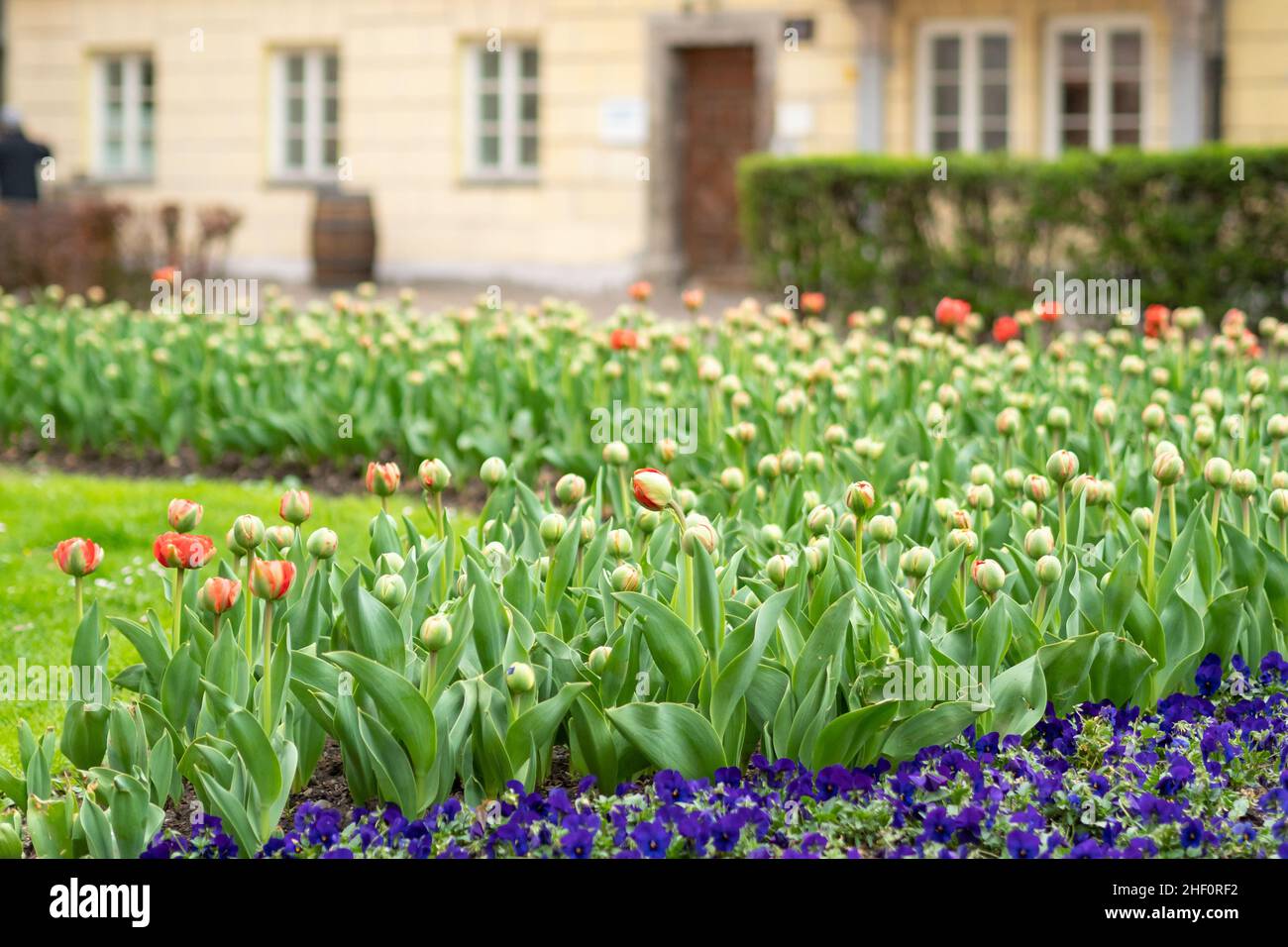 Splendido giardino nel centro di Innsbruck, Austria, con edifici storici circostanti Foto Stock