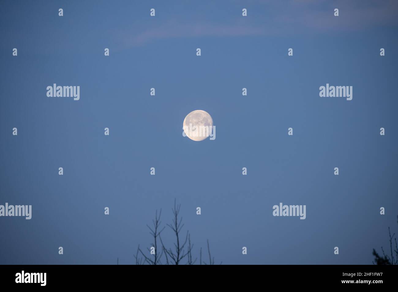 La Luna piena di marzo si chiama Worm Moon, che in origine si pensava si riferiva ai lombrichi che appaiono come il suolo si riscalda in primavera. Questo in Foto Stock