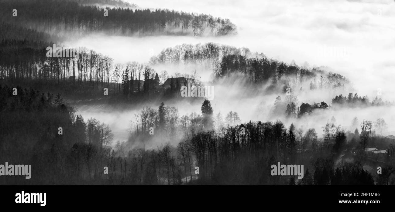 Nebbia mattutina con sole mattutino attraverso i boschi sulla collina Uetliberg di Zurigo (fuoco manuale e ampio panorama cucito) Foto Stock
