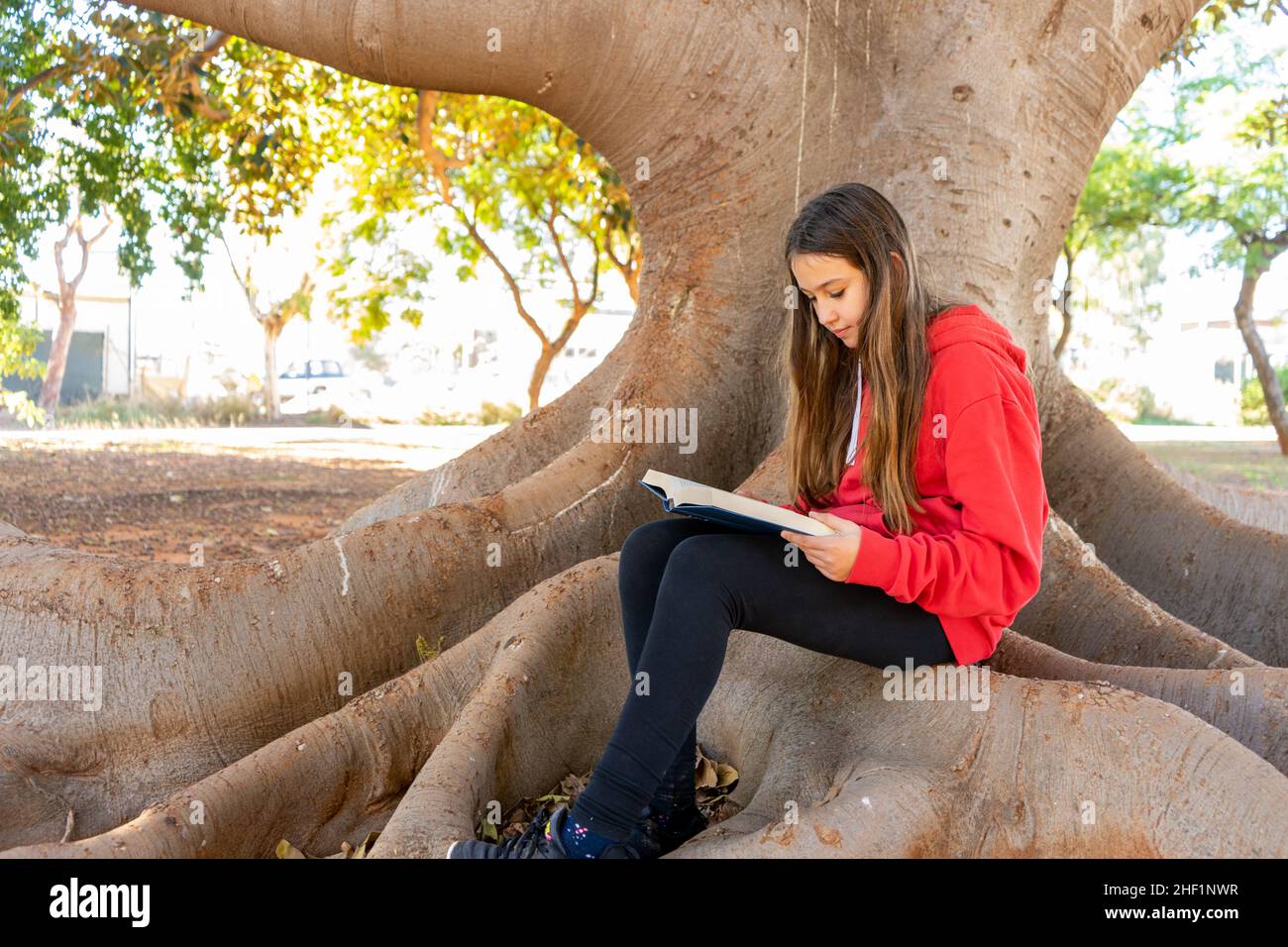 Bruna pre-adolescente ragazza caucasica seduta sulle radici di un grande albero lettura in un parco-come impostazione. Concetto di studio. Spazio di copia Foto Stock