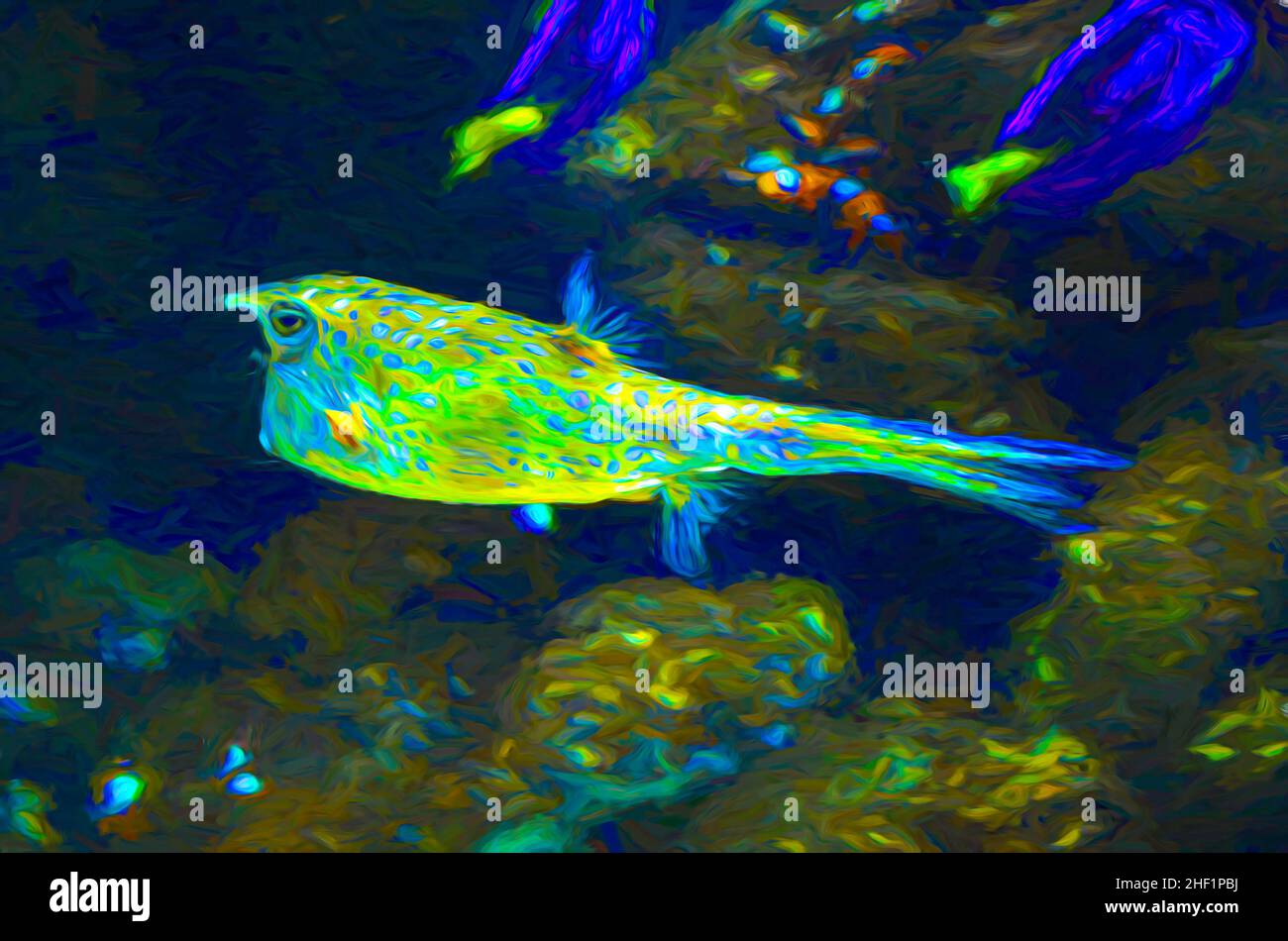 Pittura di un pesce esotico dell'acquario Foto Stock