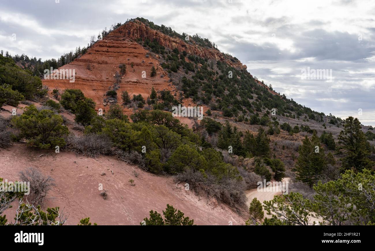 Bears Ears East, visto dalla sella tra di esso e Bears Ears West. Foto Stock