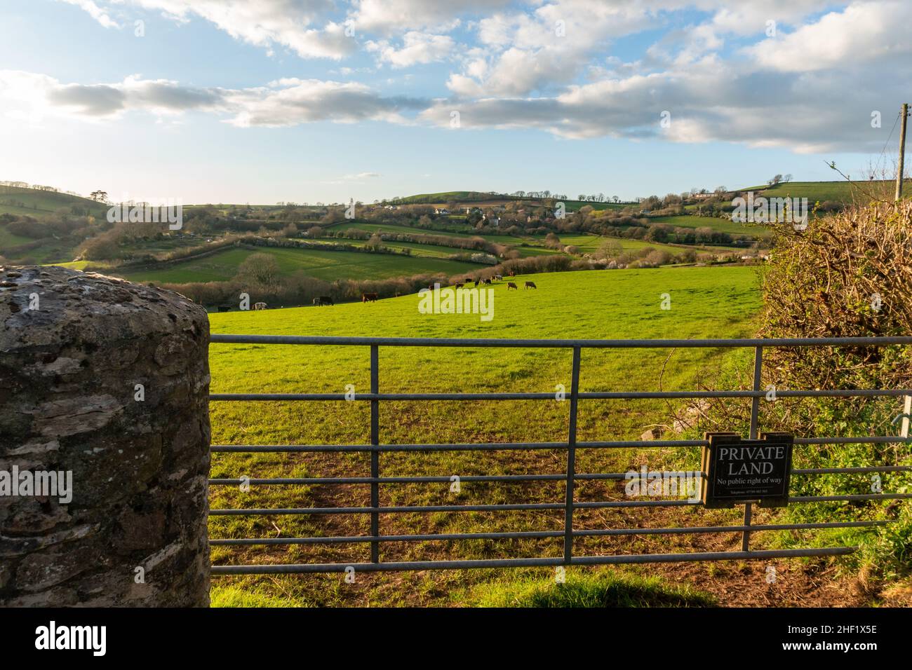 Devon Hills a Stoke Gabriel Foto Stock