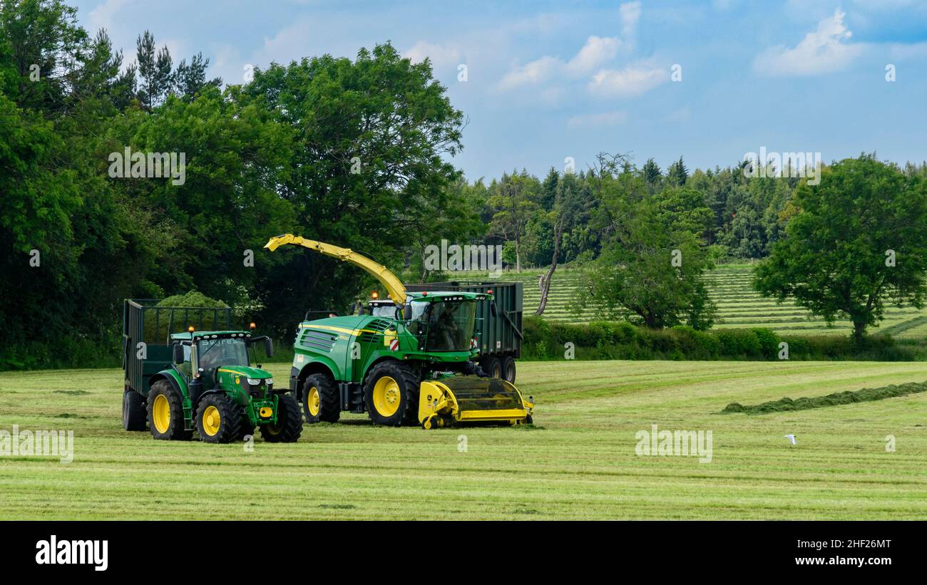 Trattori haymaking, impegnati nella guida in campo agricolo con la trebbiatrice John Deere, carico di rimorchi di riempimento (insilato da erba tagliata) - Yorkshire Inghilterra UK. Foto Stock