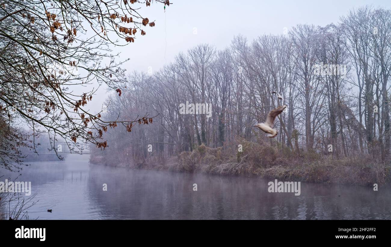 Winterliche Landschaft mit Fluss und Flussufer - paesaggio viticolo con fiume e riva del fiume Foto Stock