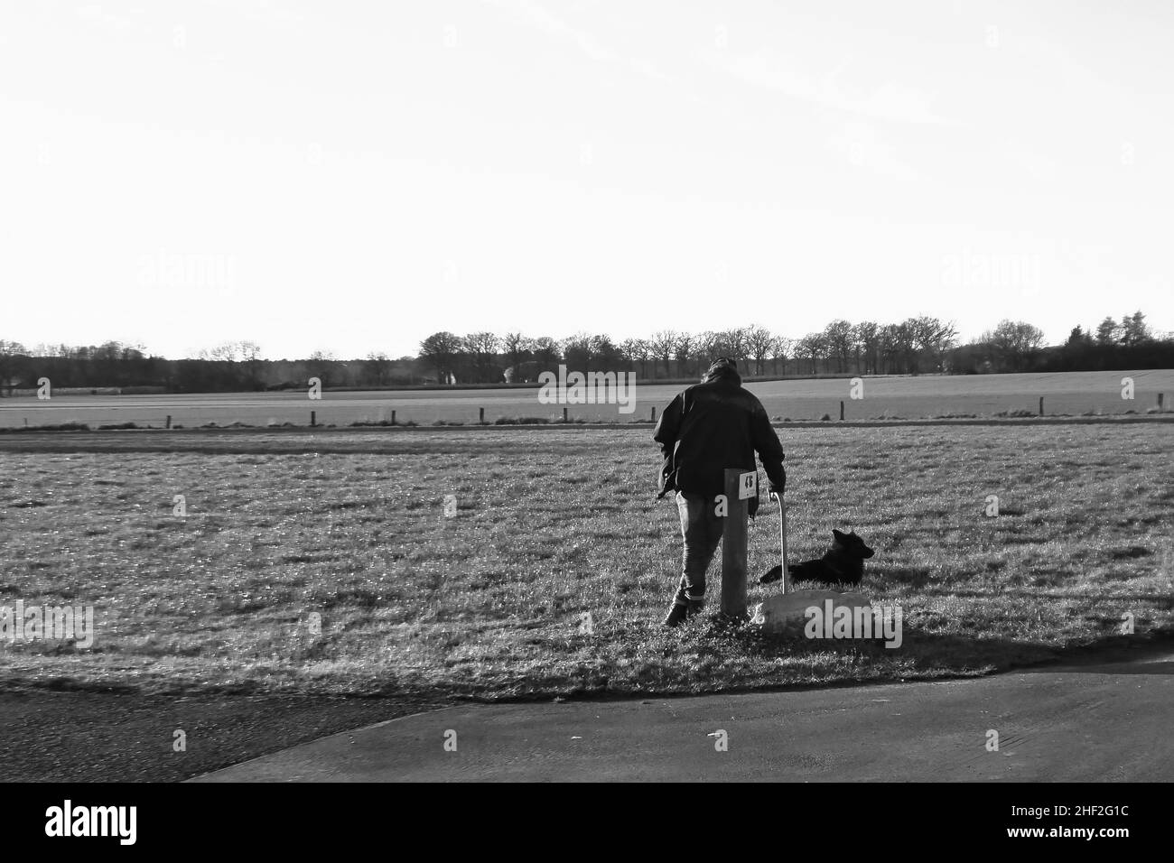 Il vecchio Pastore e il suo cane di pecora prendono una piccola rottura Foto Stock