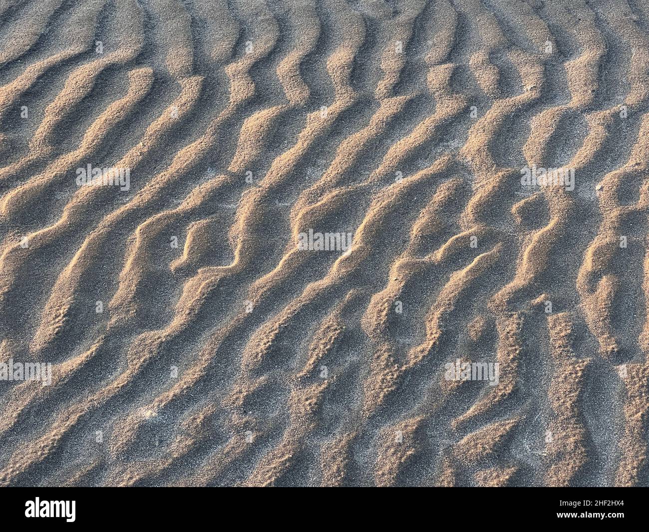 La sabbia spazzata dal vento forma un motivo ondulato alla spiaggia di Driftwood, Jekyll Island, Georgia. Foto Stock