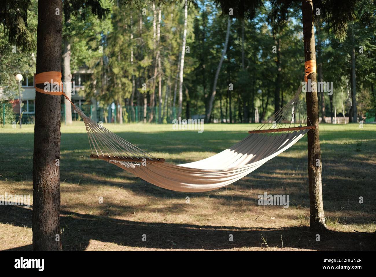 Amaca appesa tra gli alberi nella splendida foresta in estate giorno di sole. Foto senza persone. Foto Stock